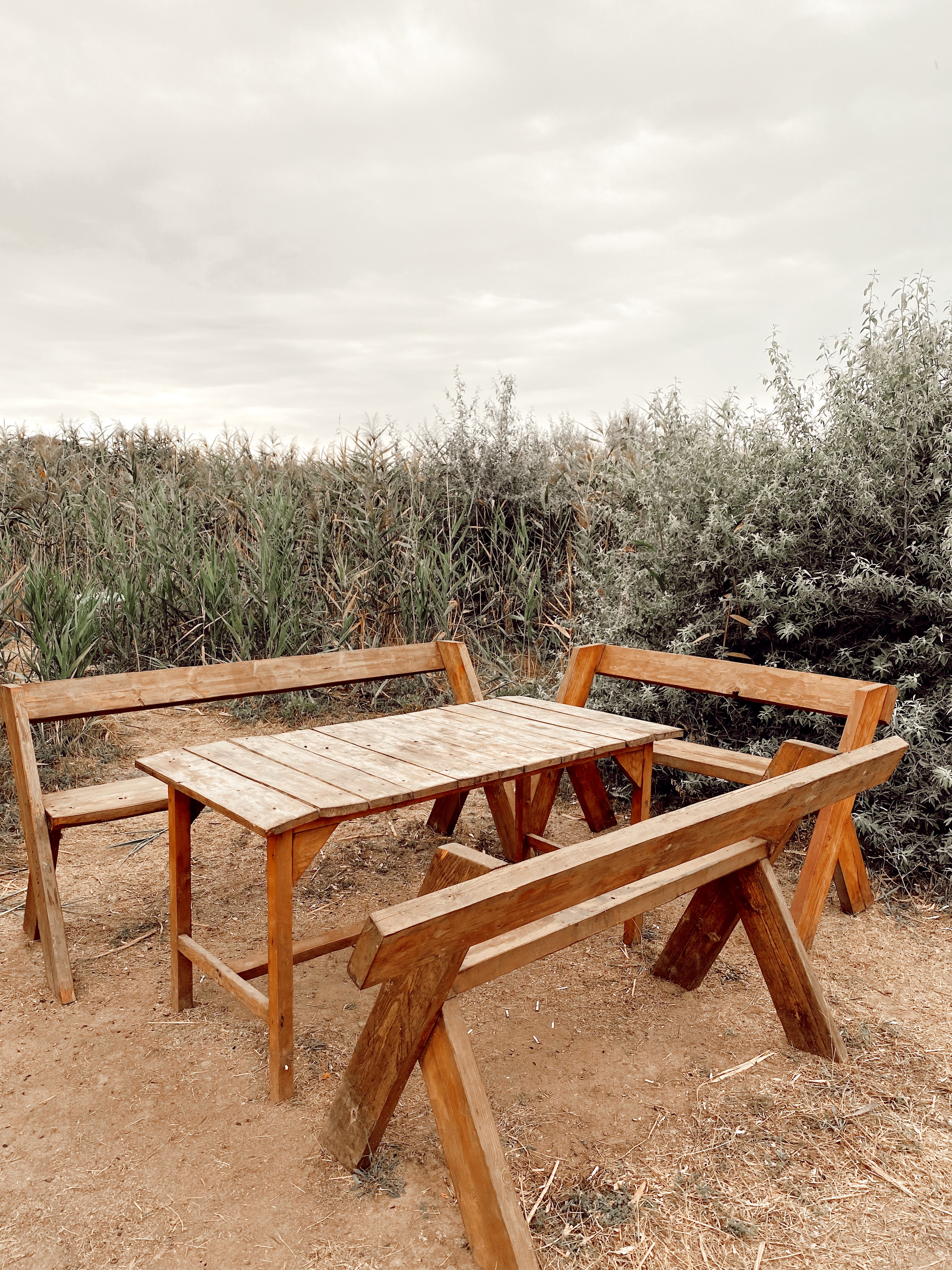 Фото Афина-Вояж