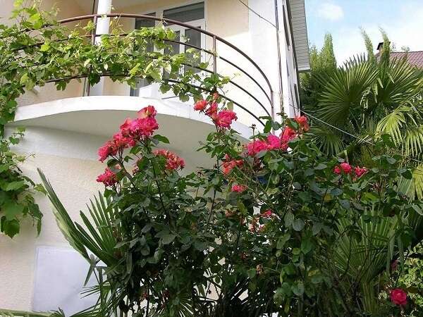 Фото Гостевой Дом Лазурный Берег