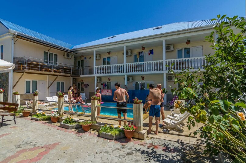 Фото Дельфин