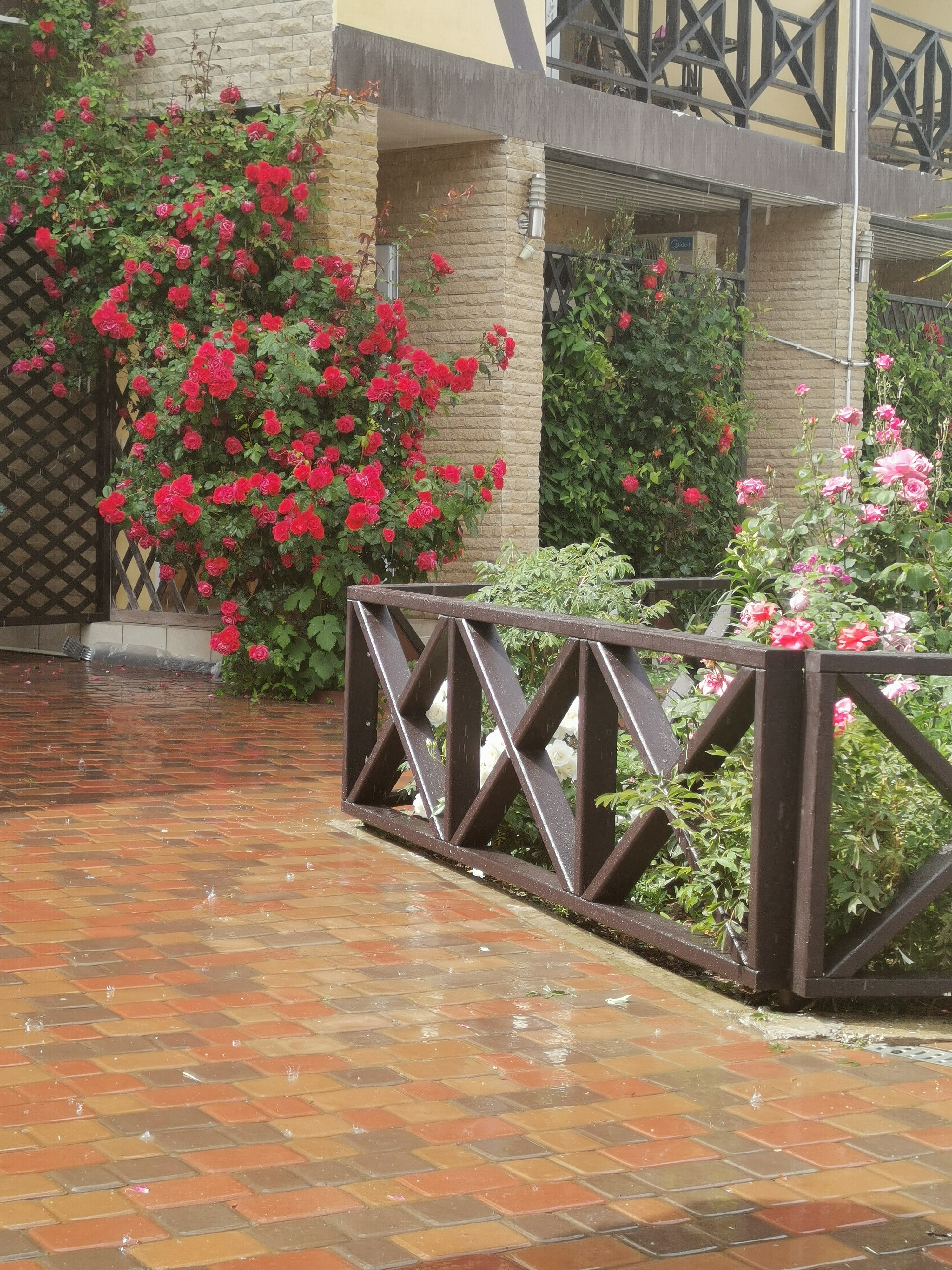 Фото Море Удачи