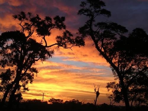 Фото Posada 21 Oranges