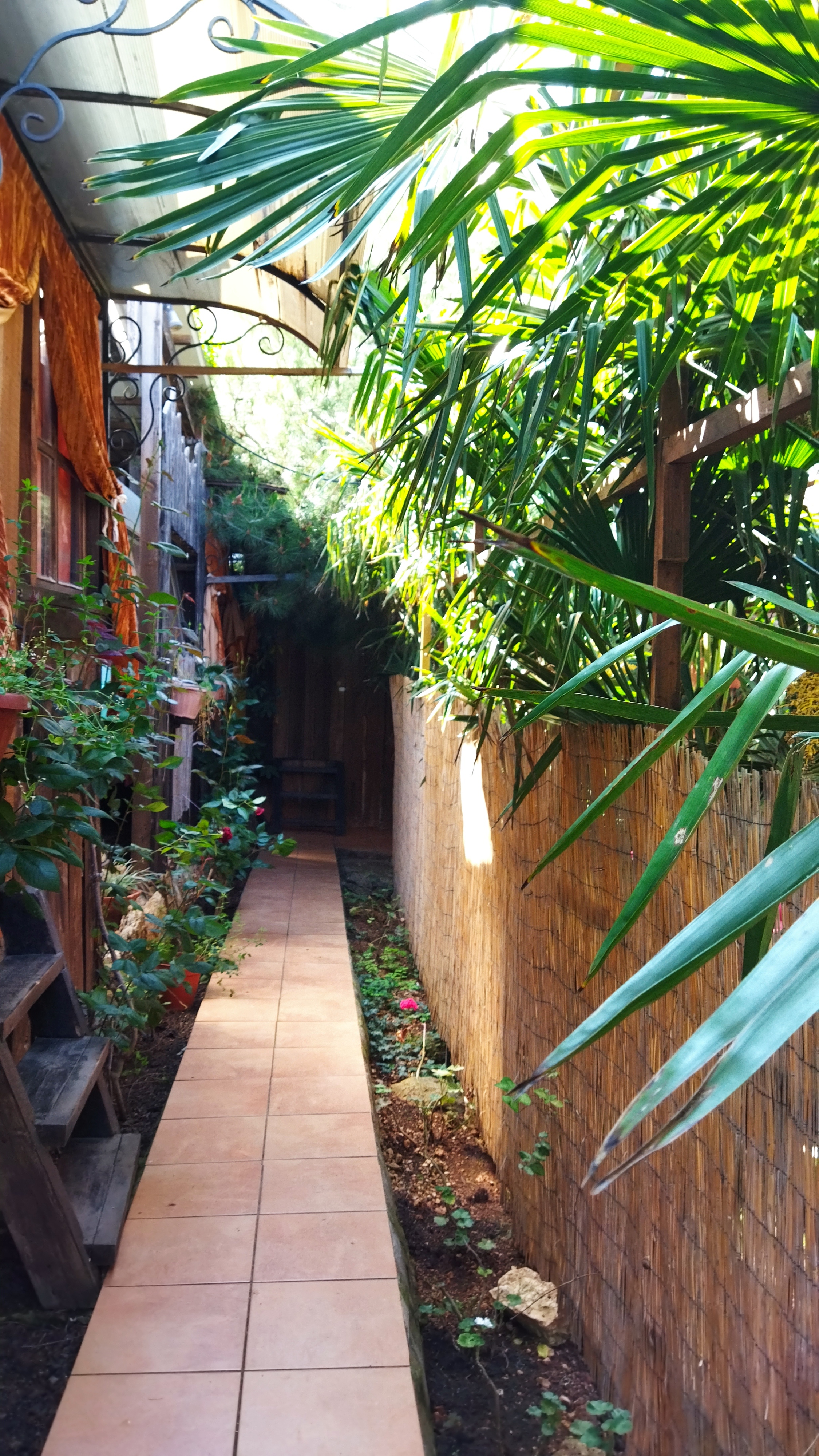 Фото Арт дача