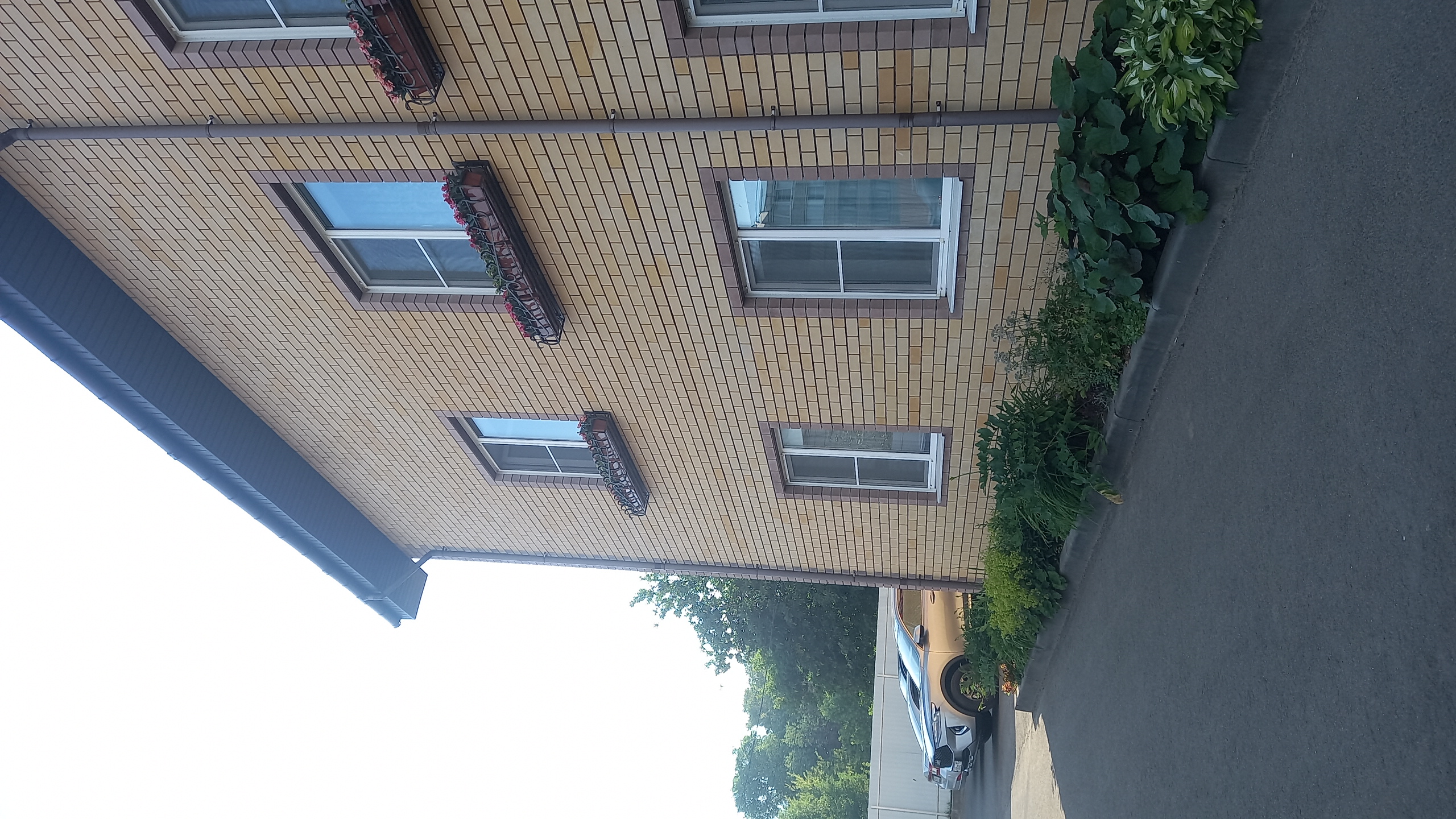 Фото Теремок Московский