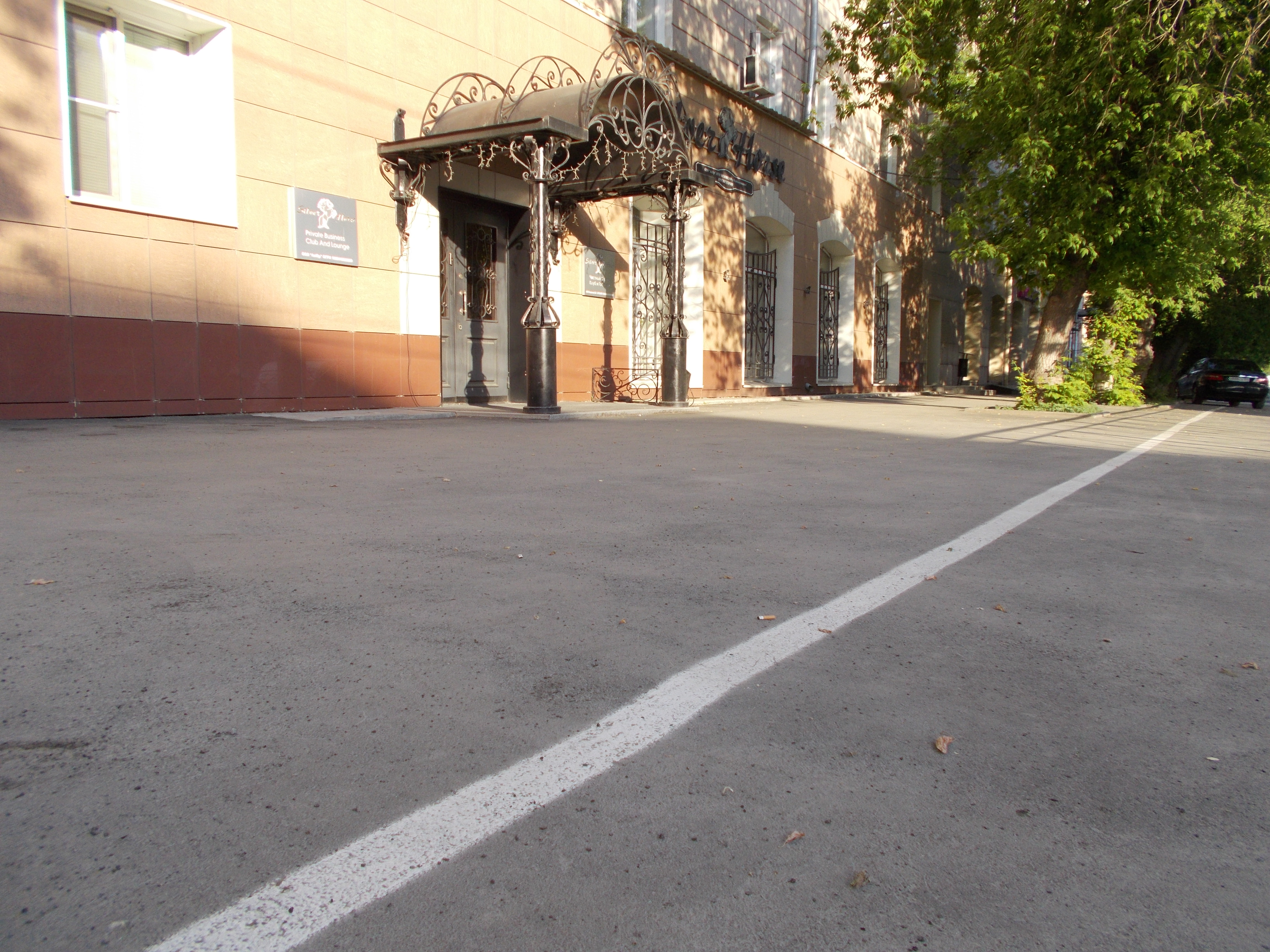 Фото Серебряная лошадь