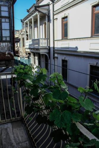 Фото Hotel Konka