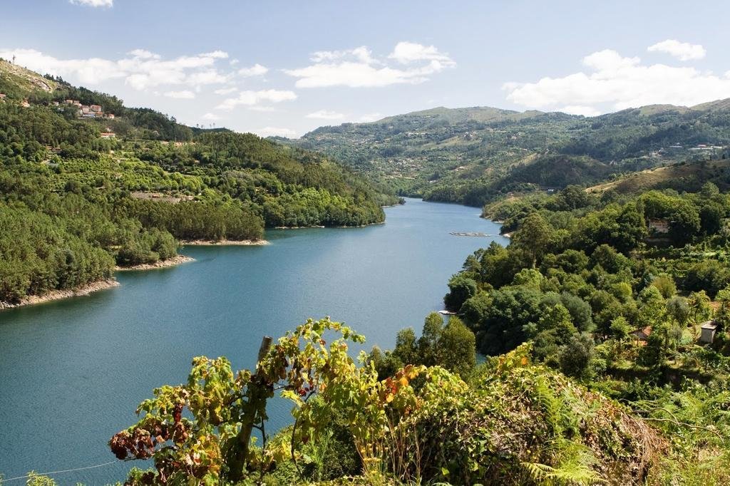 Фото Barnabe Apartment