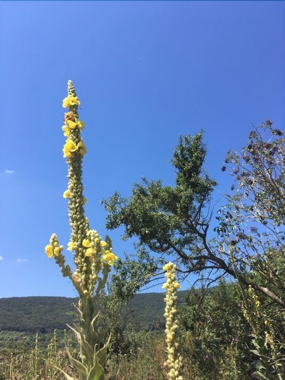 Фото Le Torrette B&b