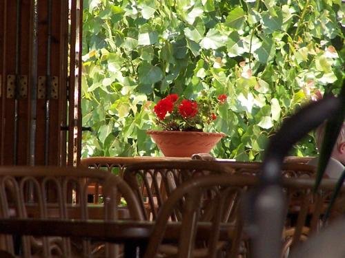 Фото Perros Hotel