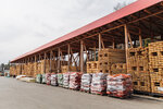 Stroy-Servis (Moscow Region, Solnechnogorsk Urban District, derevnya Kurilovo), hardware store