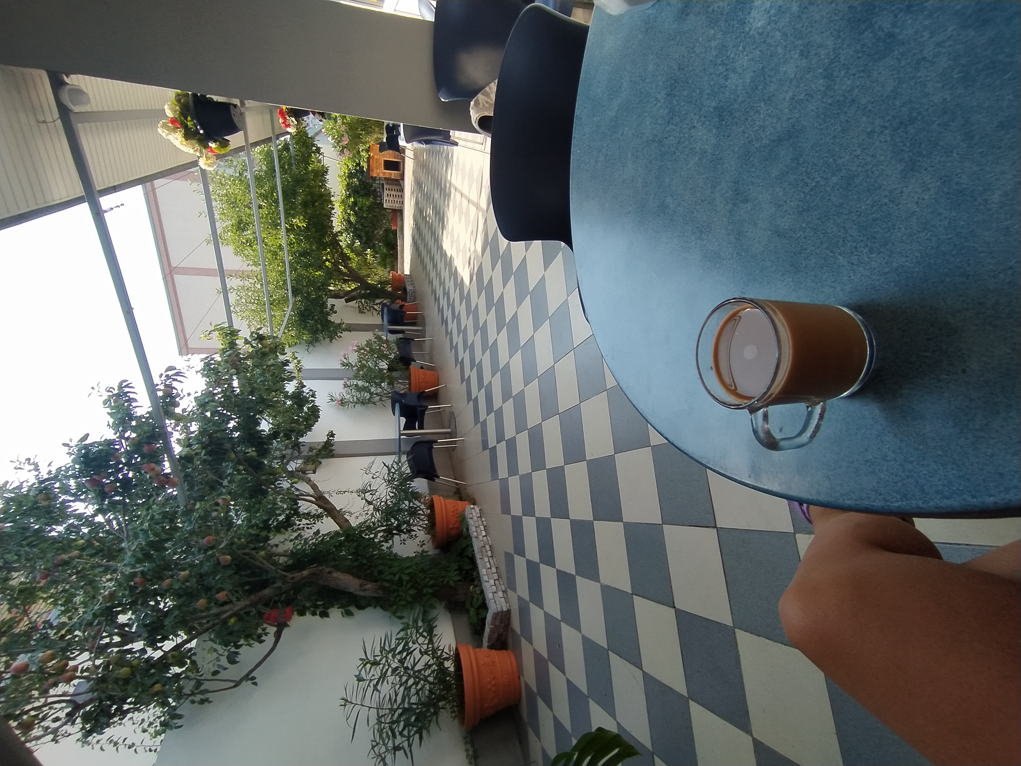 Фото Мохито