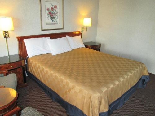 Фото Discovery Inn