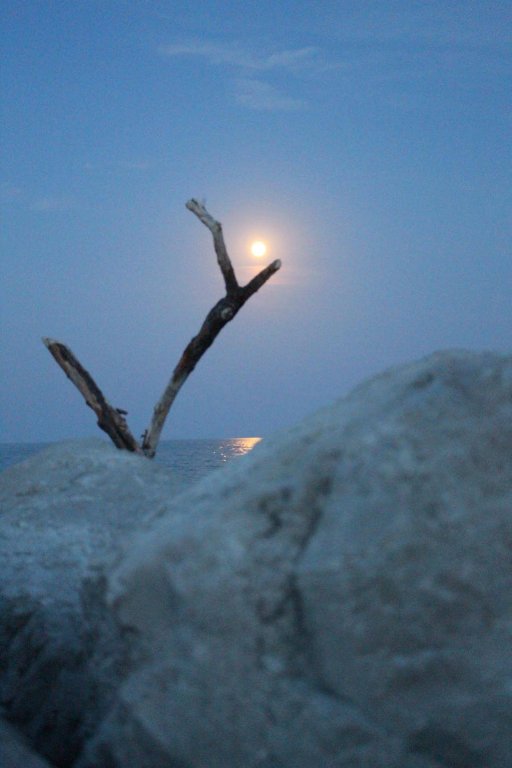 Фото Aparthotel Gioia