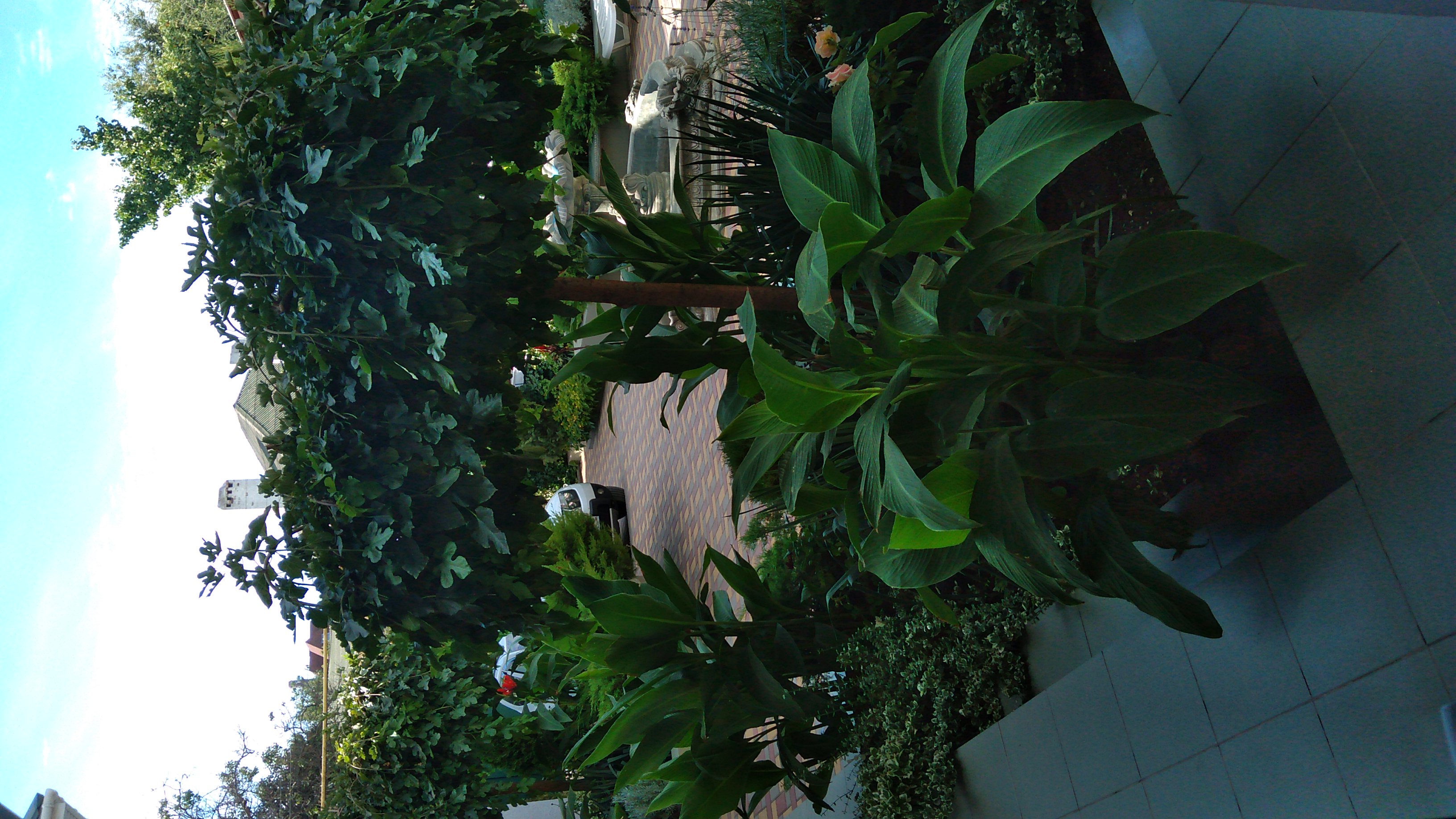 Фото Пансион Кафа