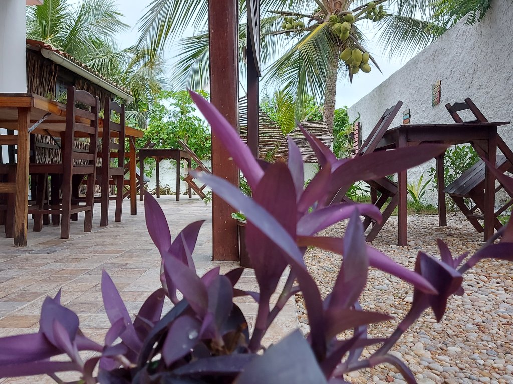 Фото Мини-Отель Pousada Brisa Del Mar