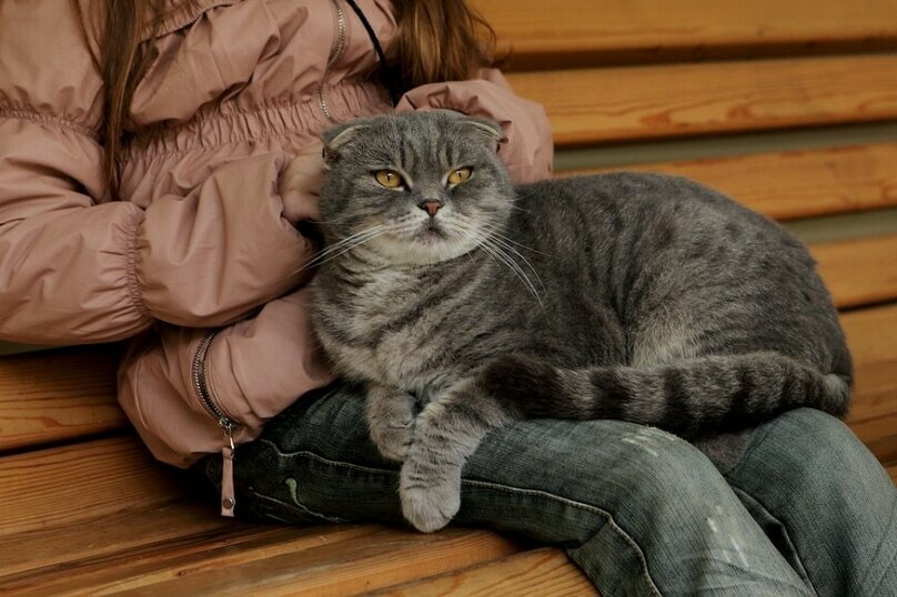 Фото Гостевые домики