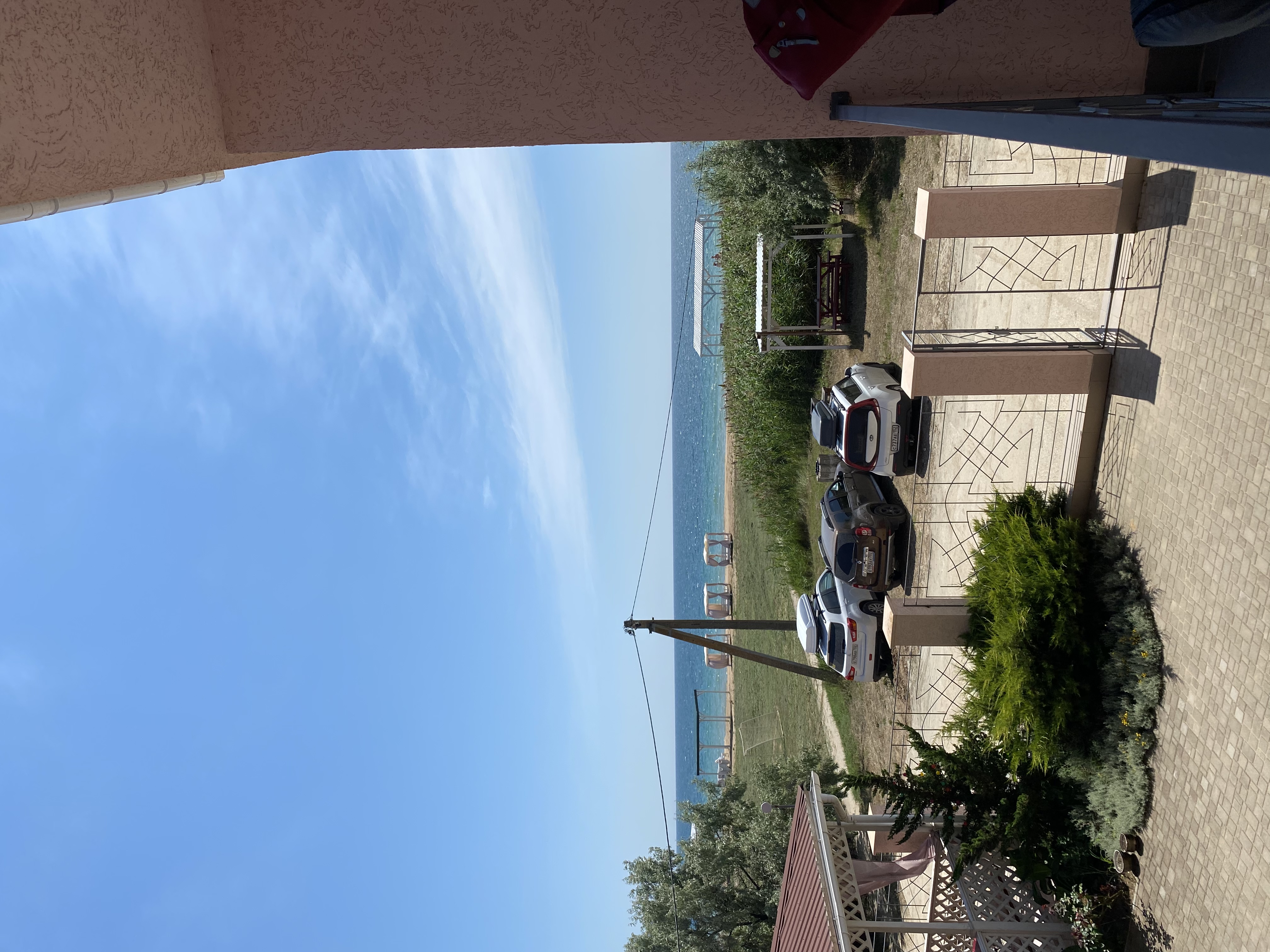 Фото Шафран