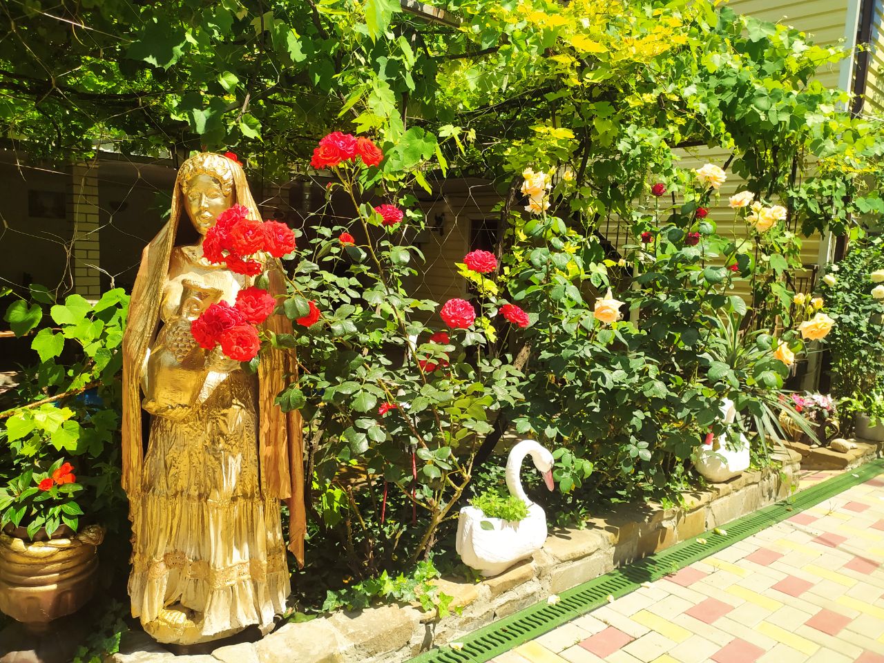 Фото Черноморская лоза