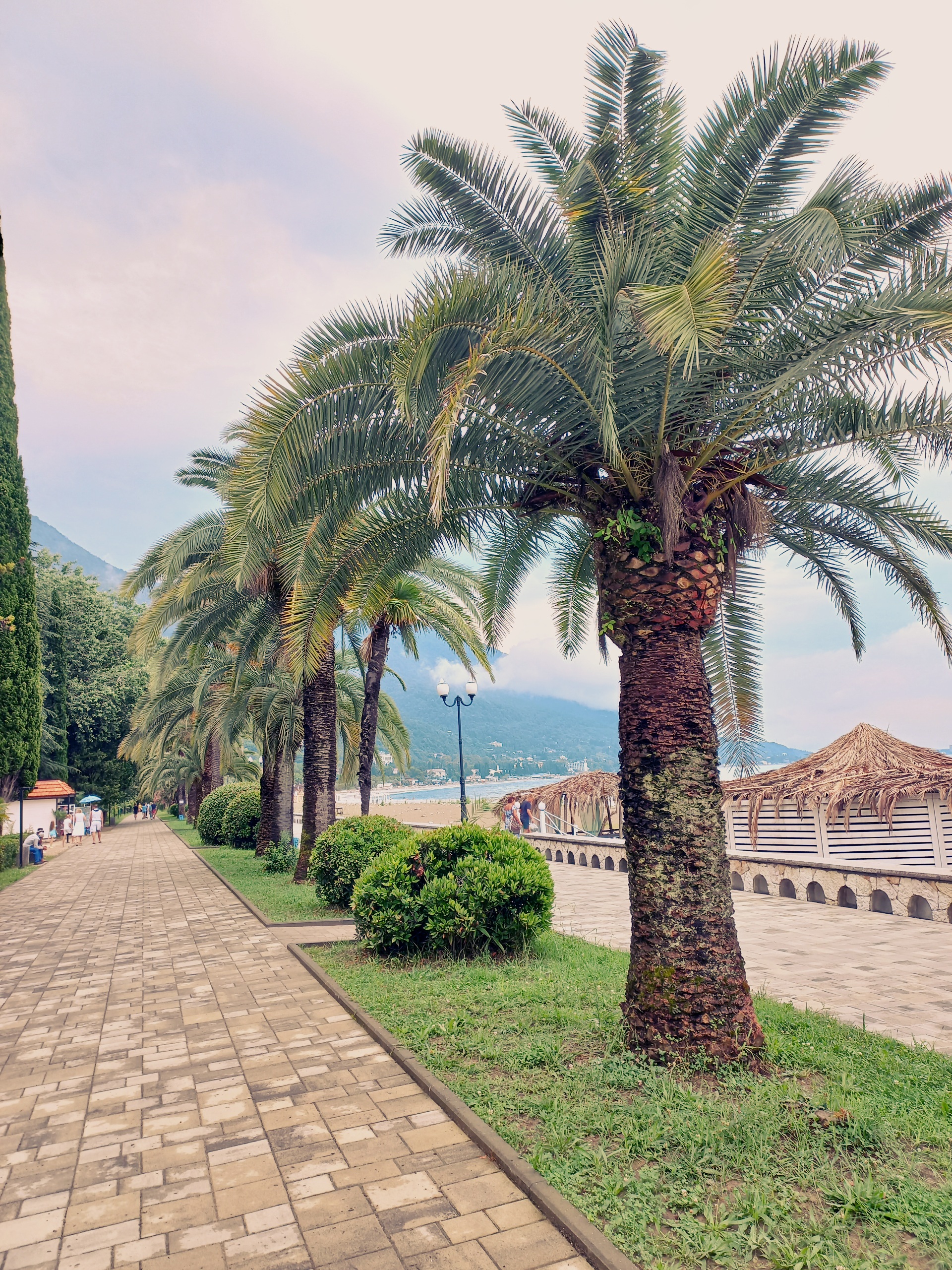 Фото Апсилаа