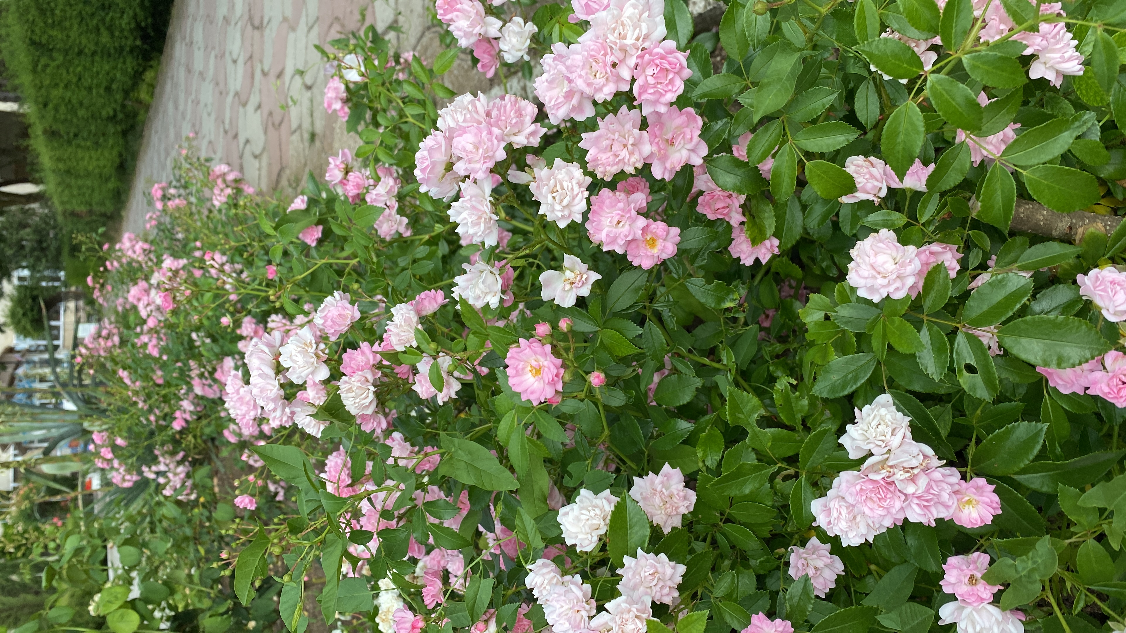 Фото Приморье