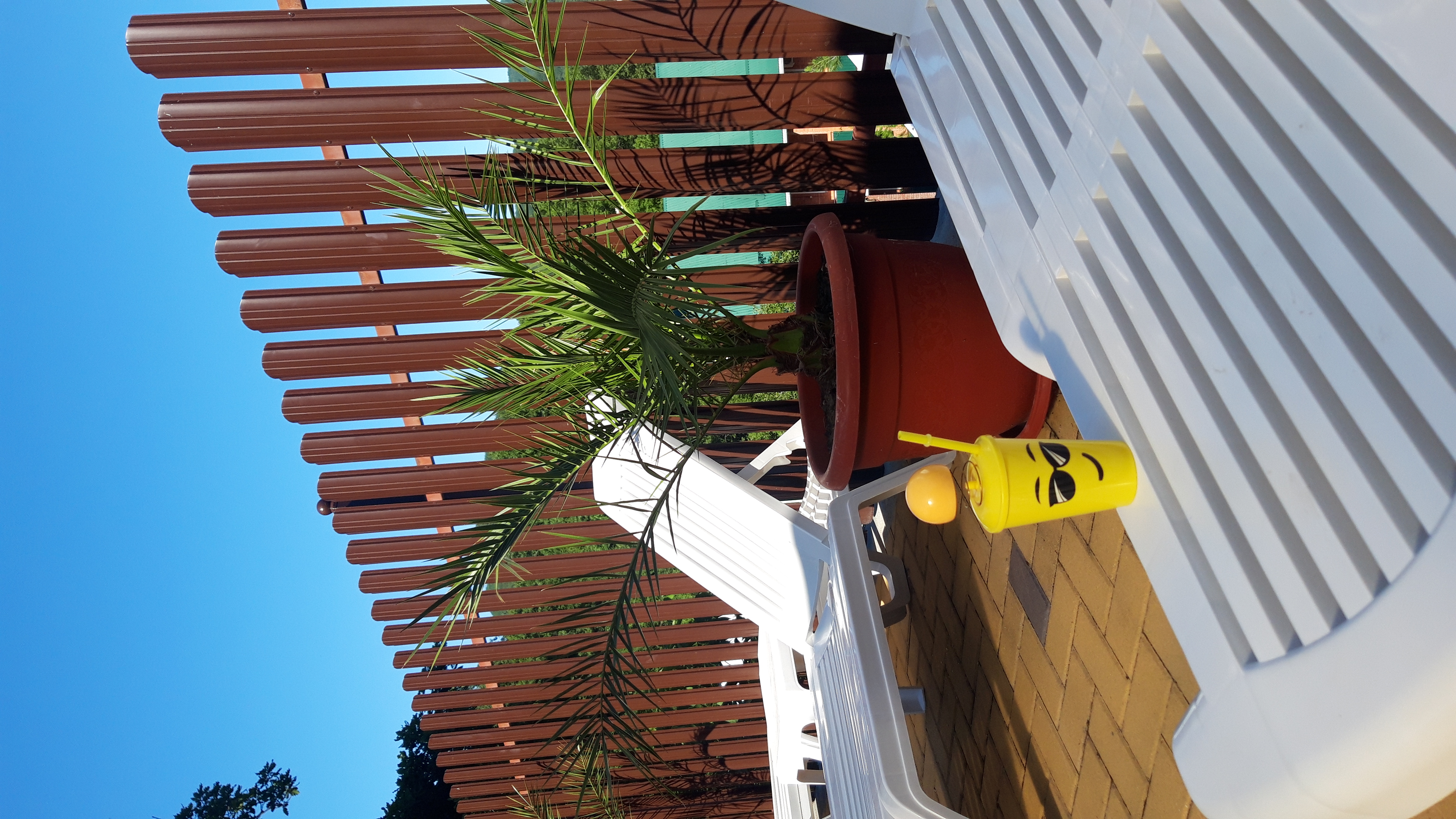 Фото Гранд-Астери