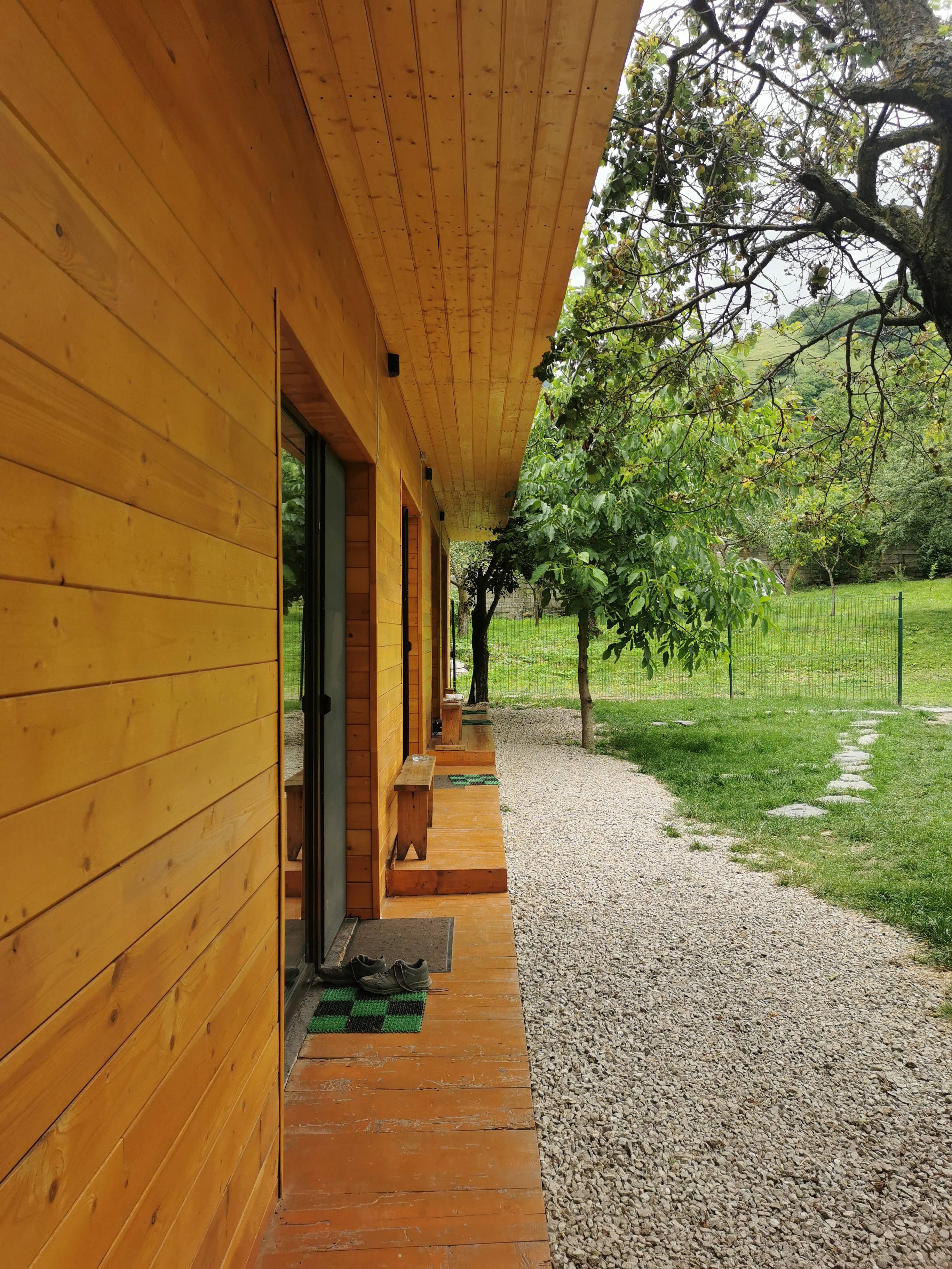 Фото Фруктовый Сад