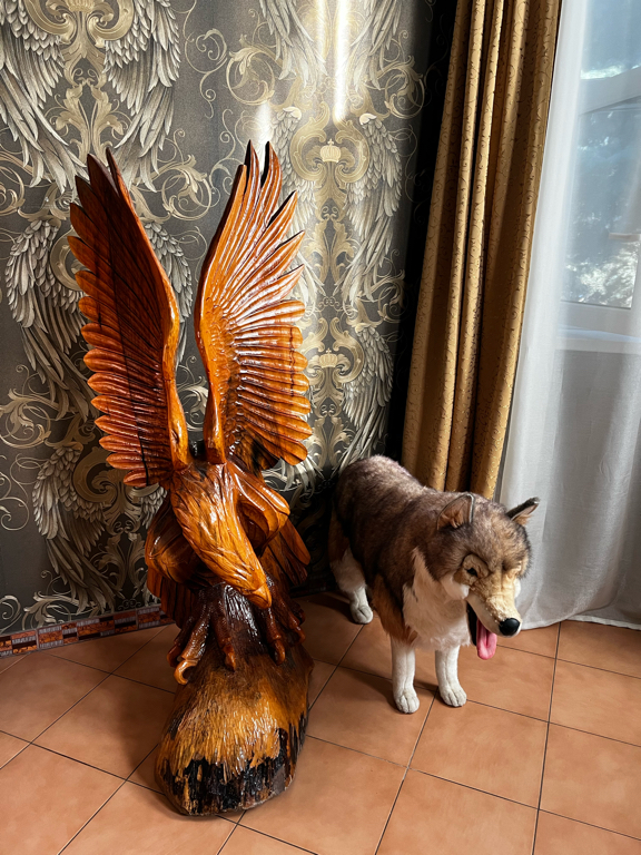 Фото Охотничий клуб