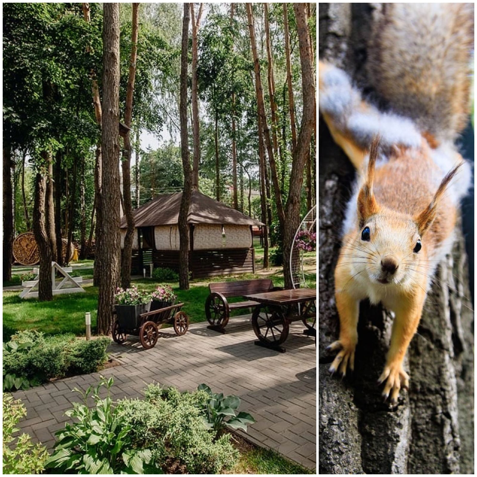 Фото Грин Парк