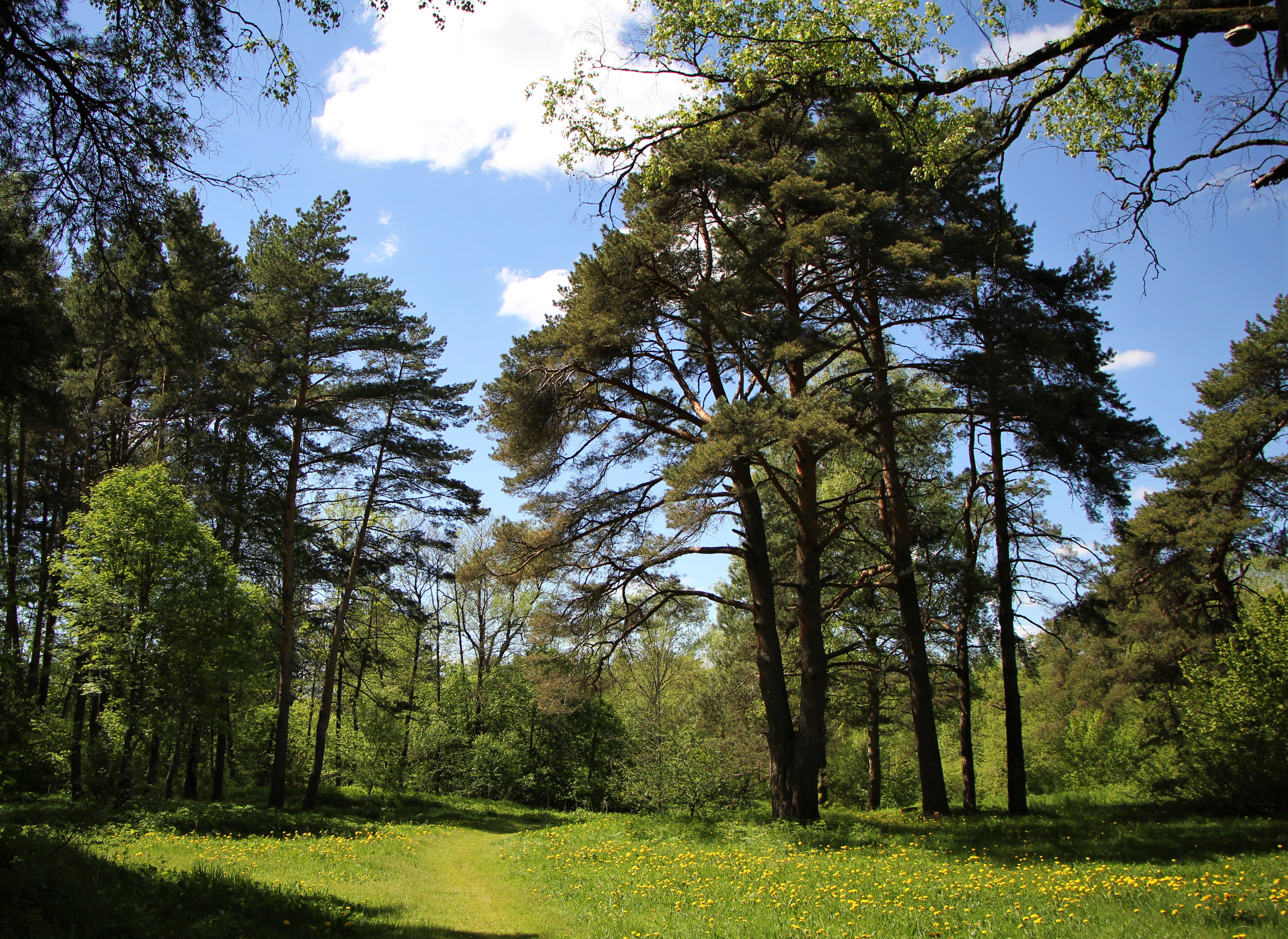 Фото S7 Hotel Bityagovo