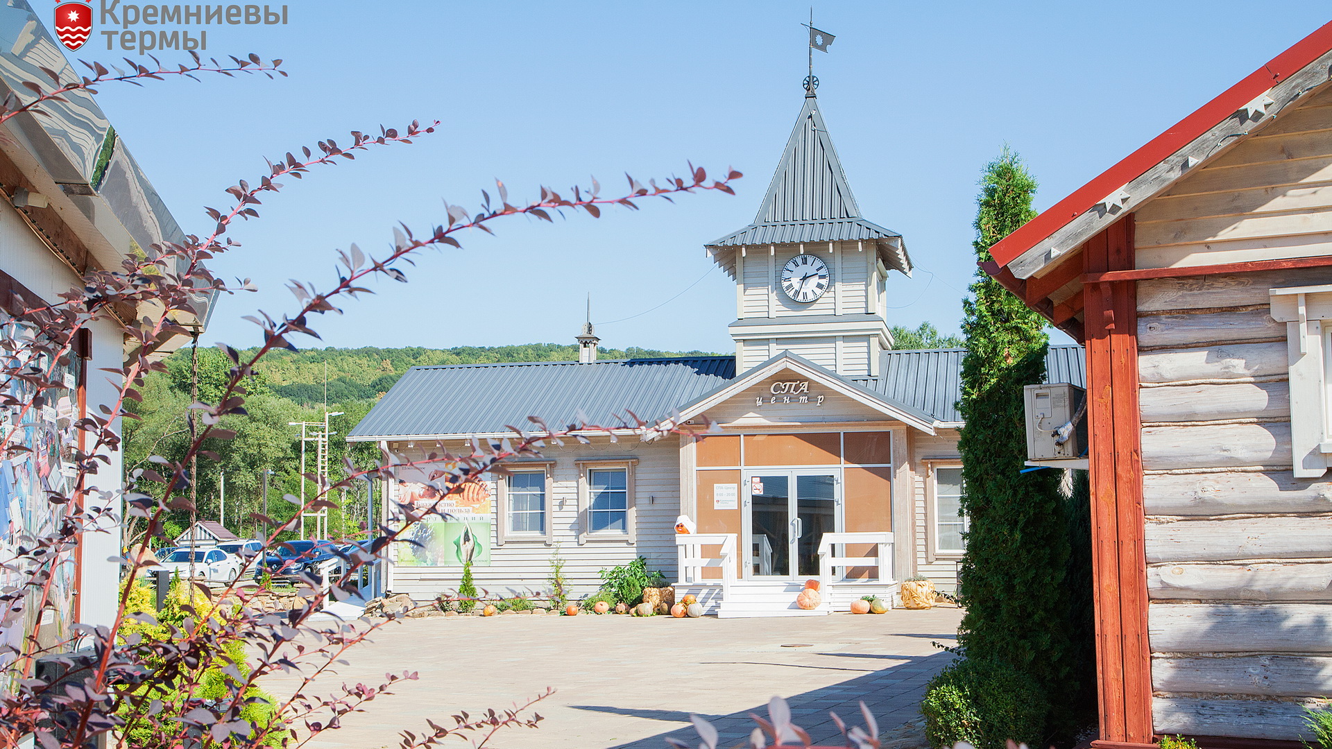 Фото Кремниевы термы