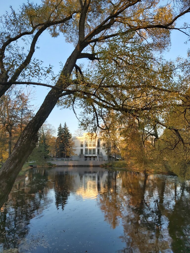 Homeowner association TSZh Kamenny ostrov, Saint Petersburg, photo