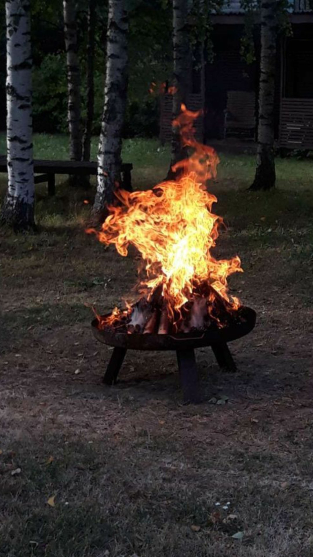 Фото Усадьба Заповедная