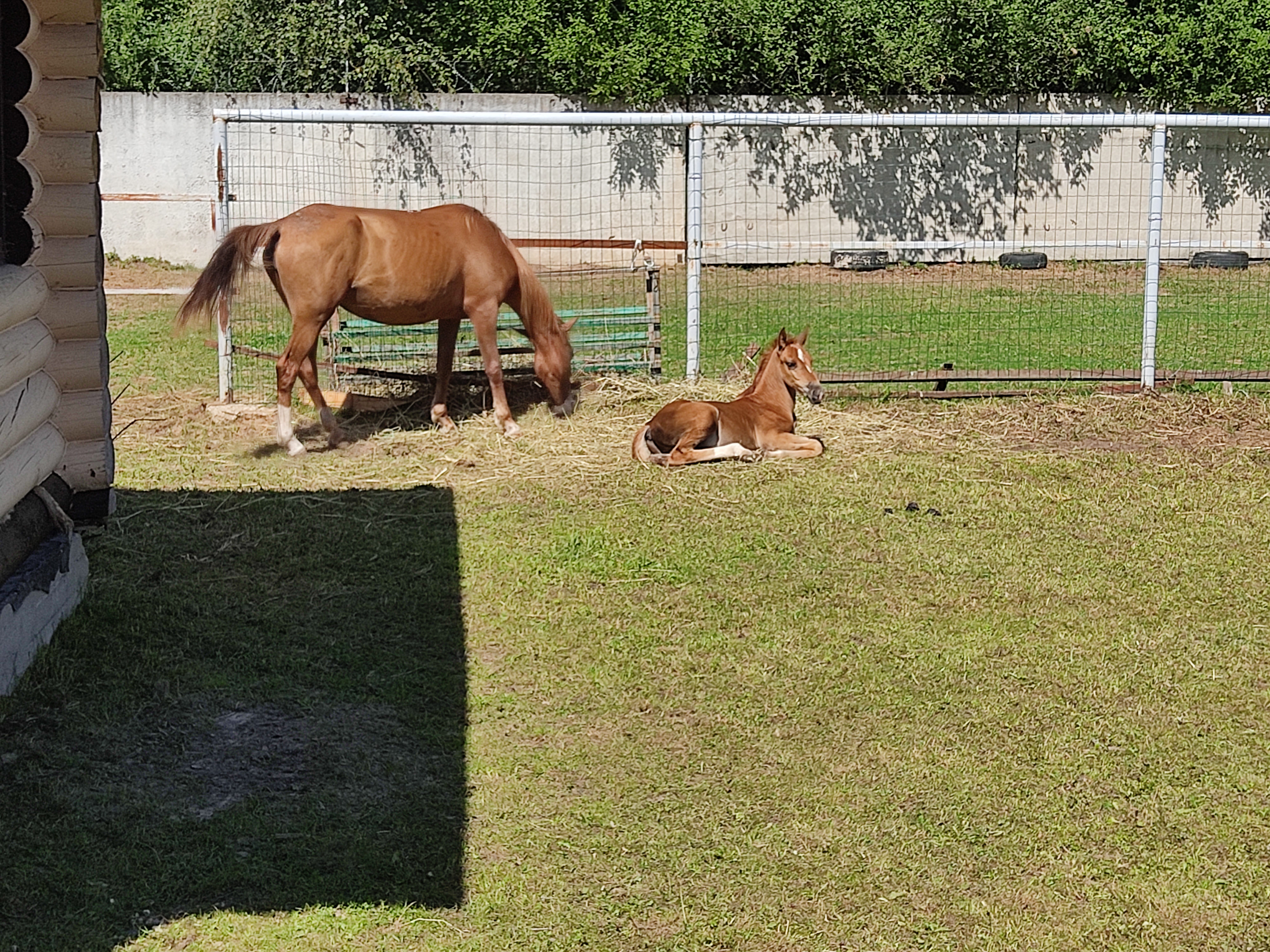 Фото Лесной скит