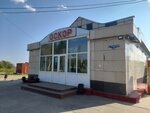 Oskor (Leningradskiy Avenue, 260), cafetería
