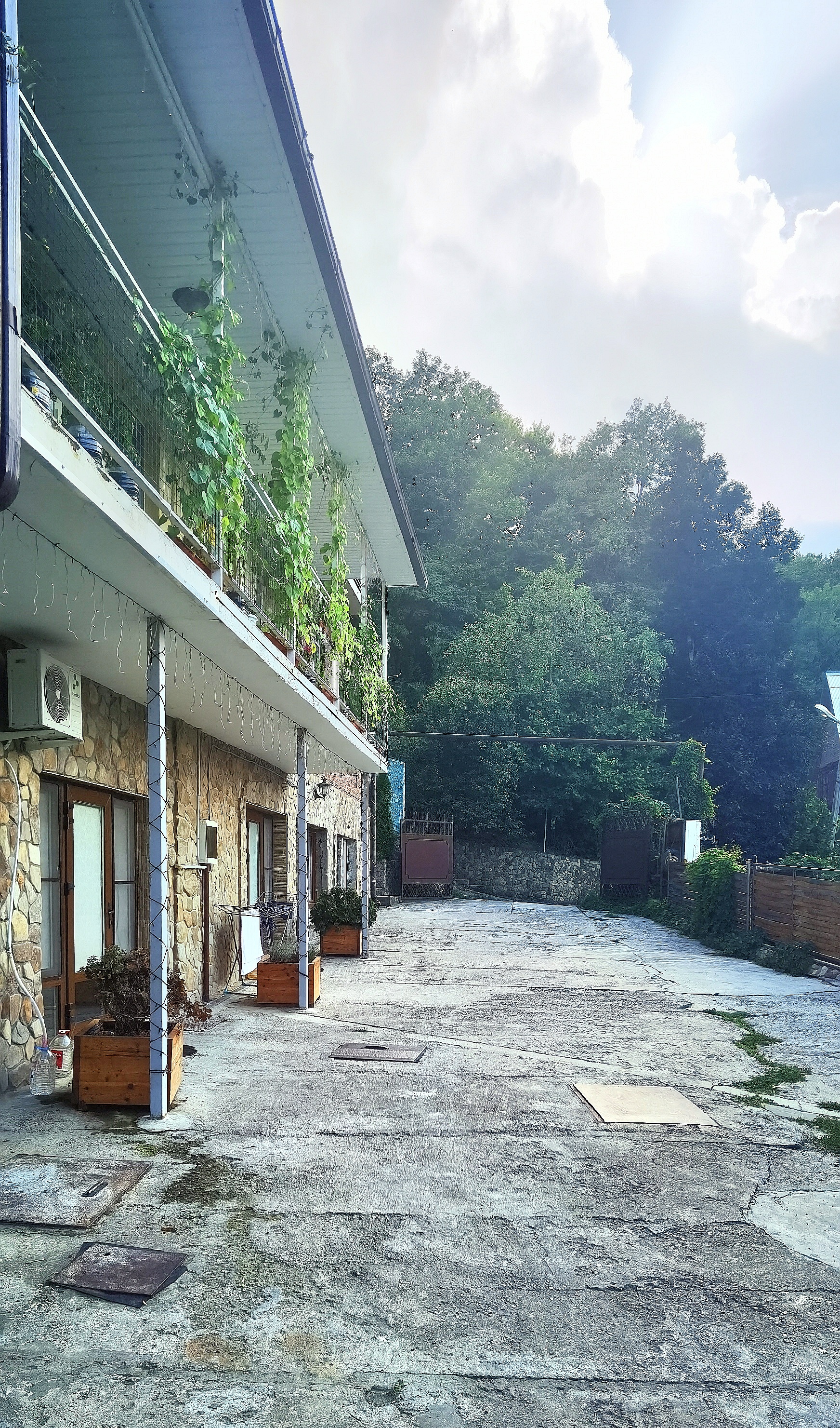 Фото Гостевые домики