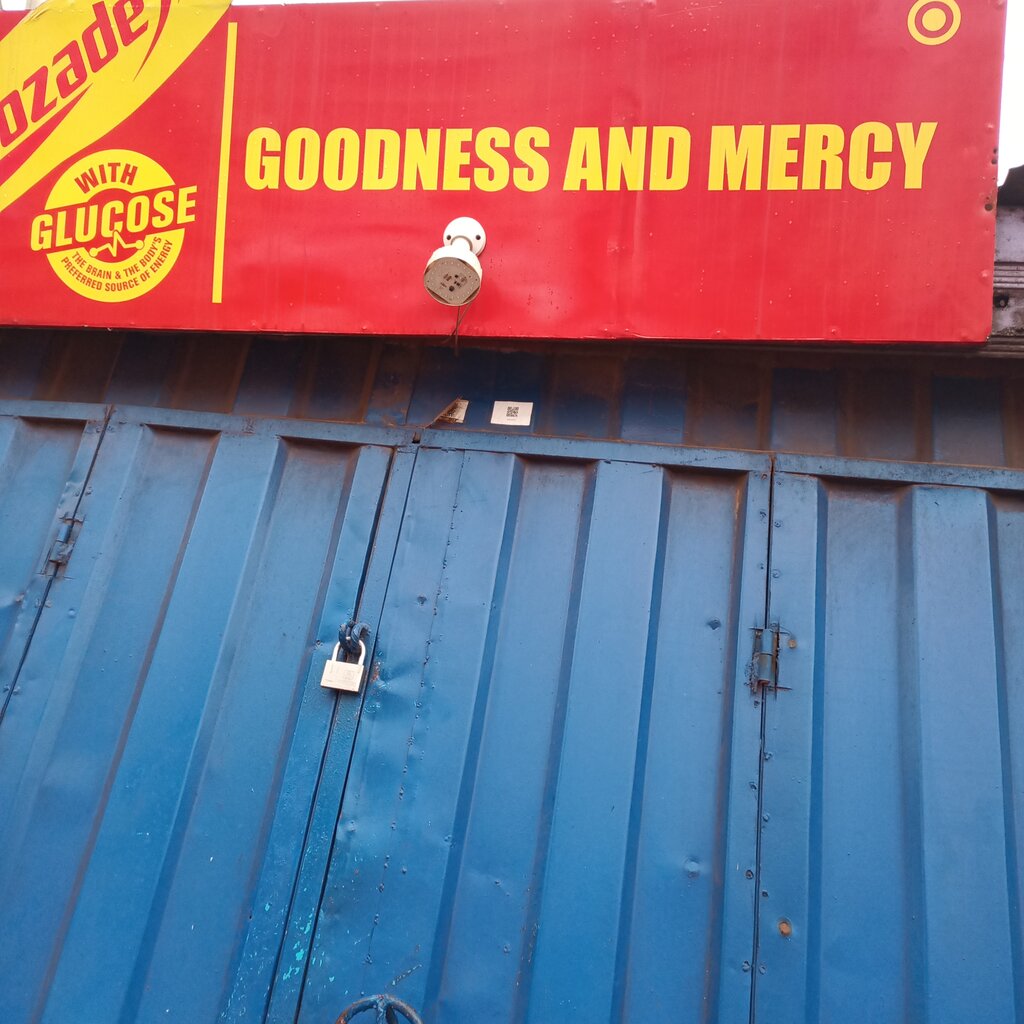 Shelving Goodness and Mercy, Earth, photo