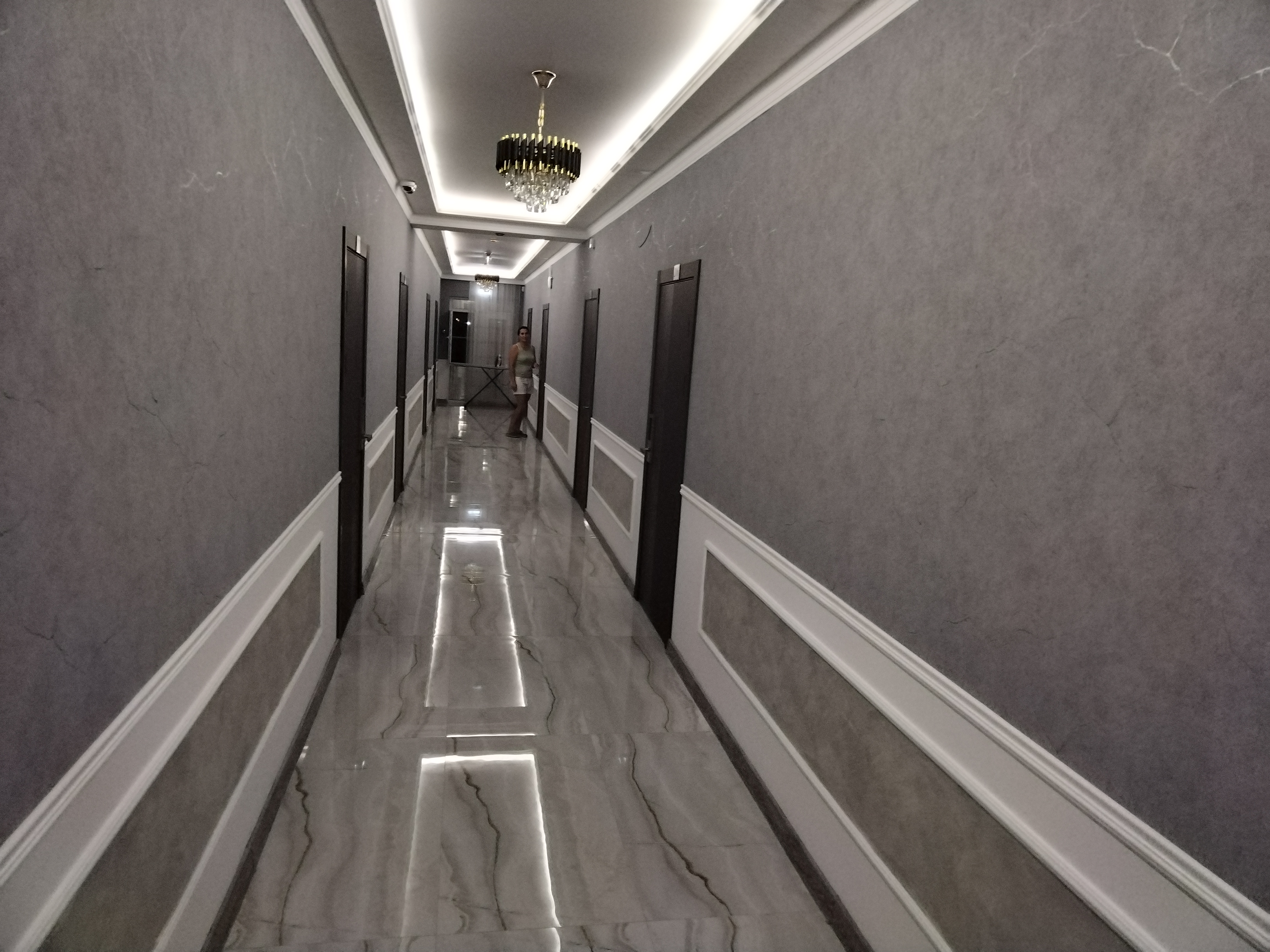 Фото Дионида