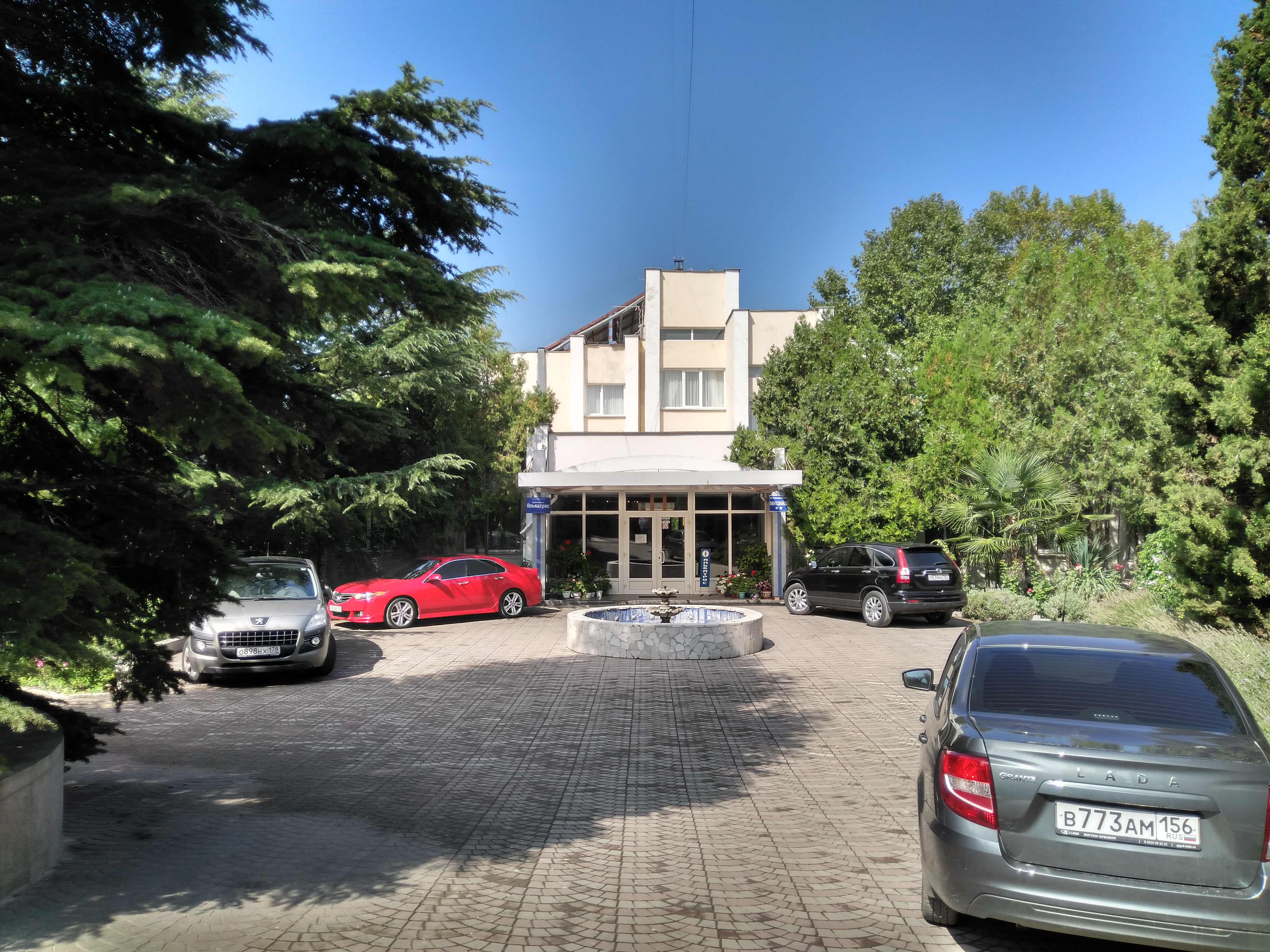 Фото Альбатрос