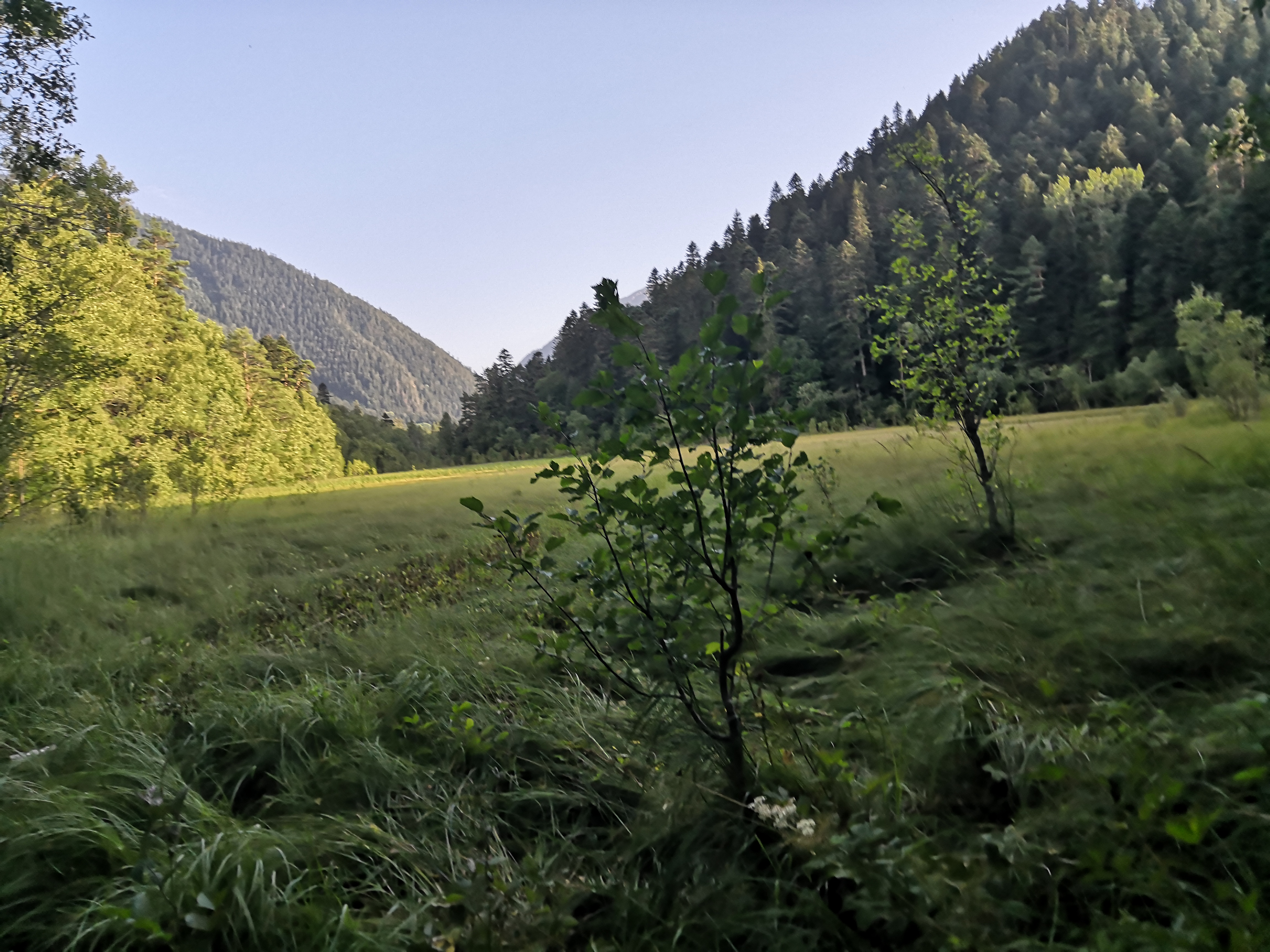 Фото Тур-домики Поляна Зубров
