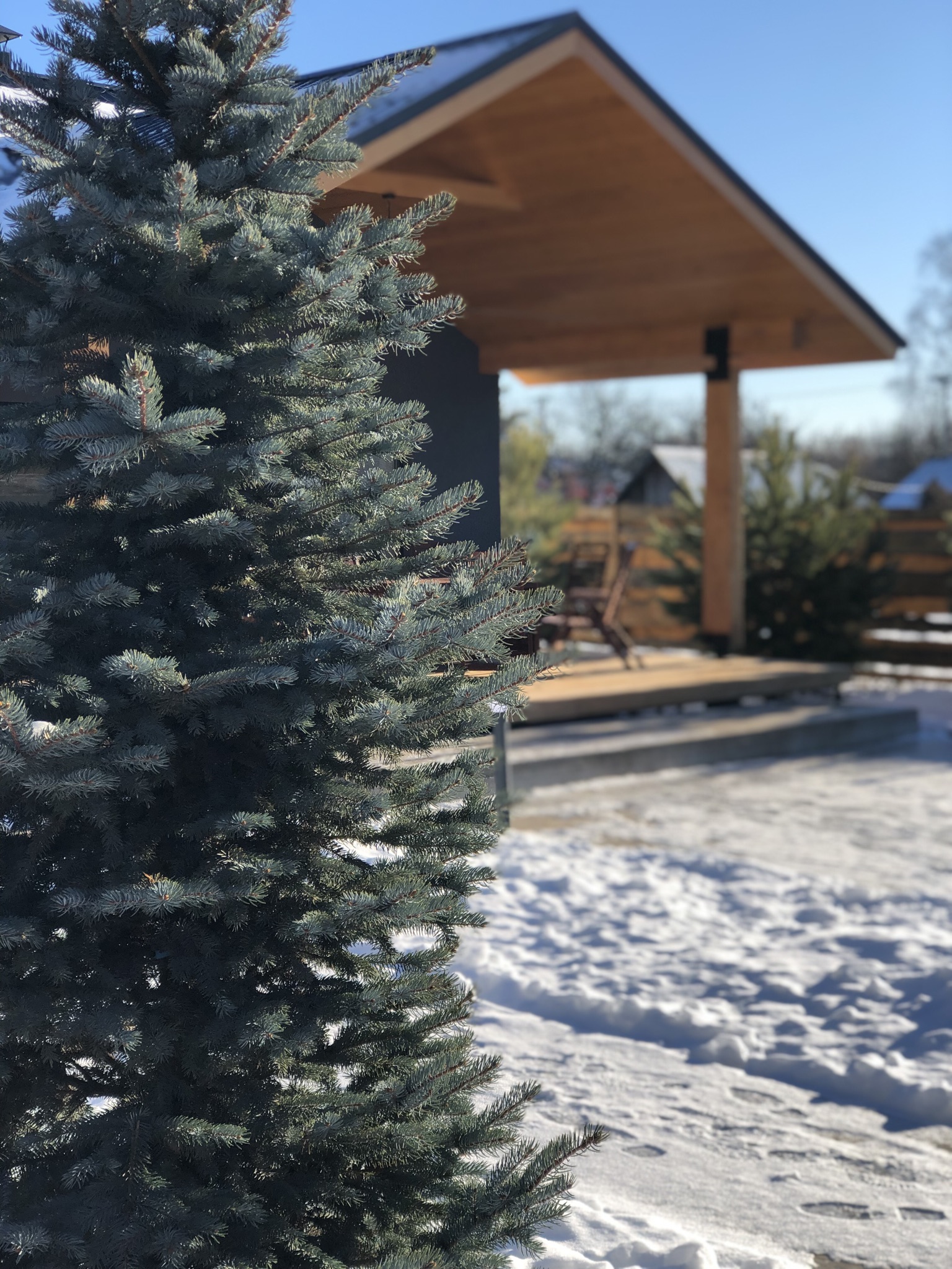 Фото Scandi House