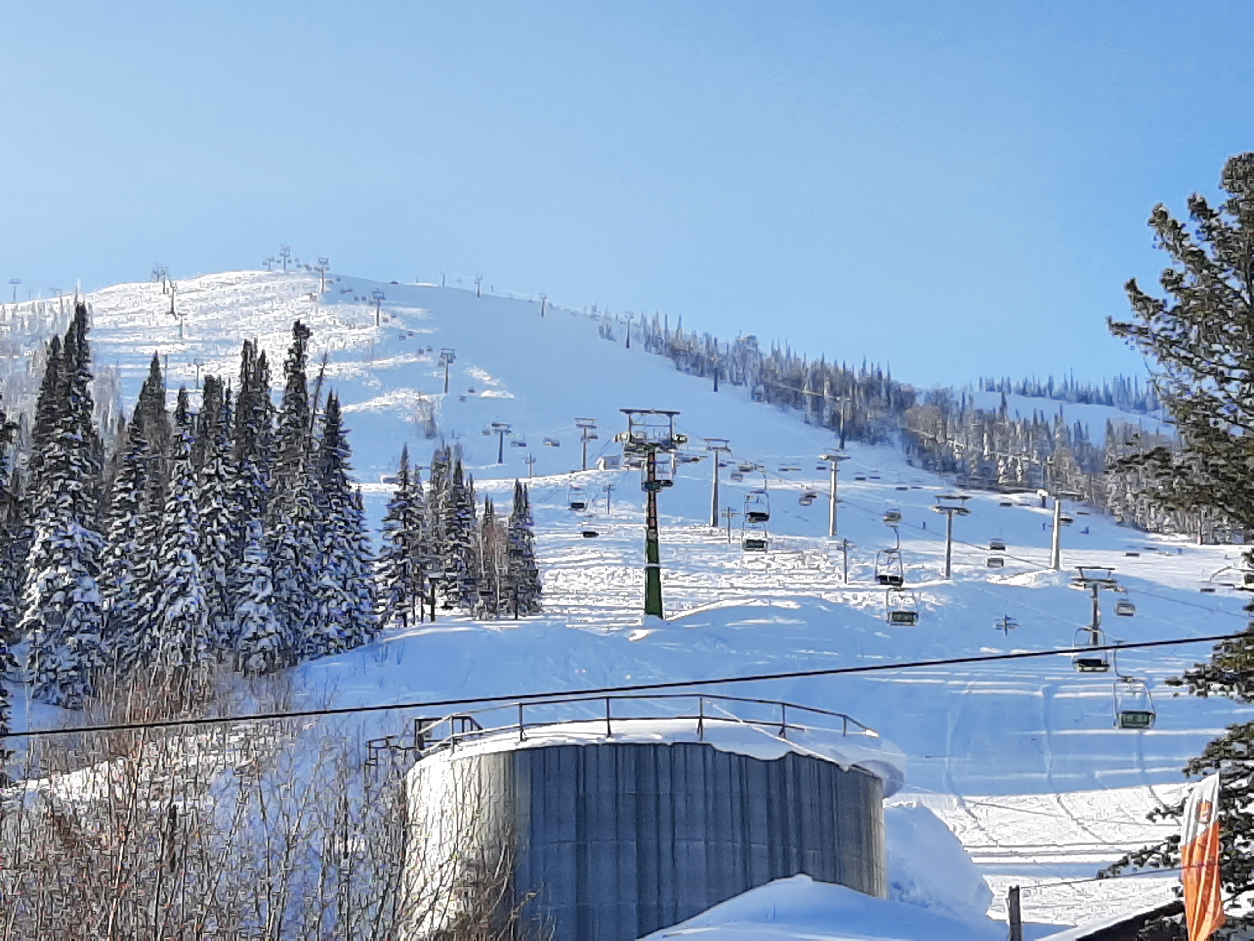 Фото Гринберг