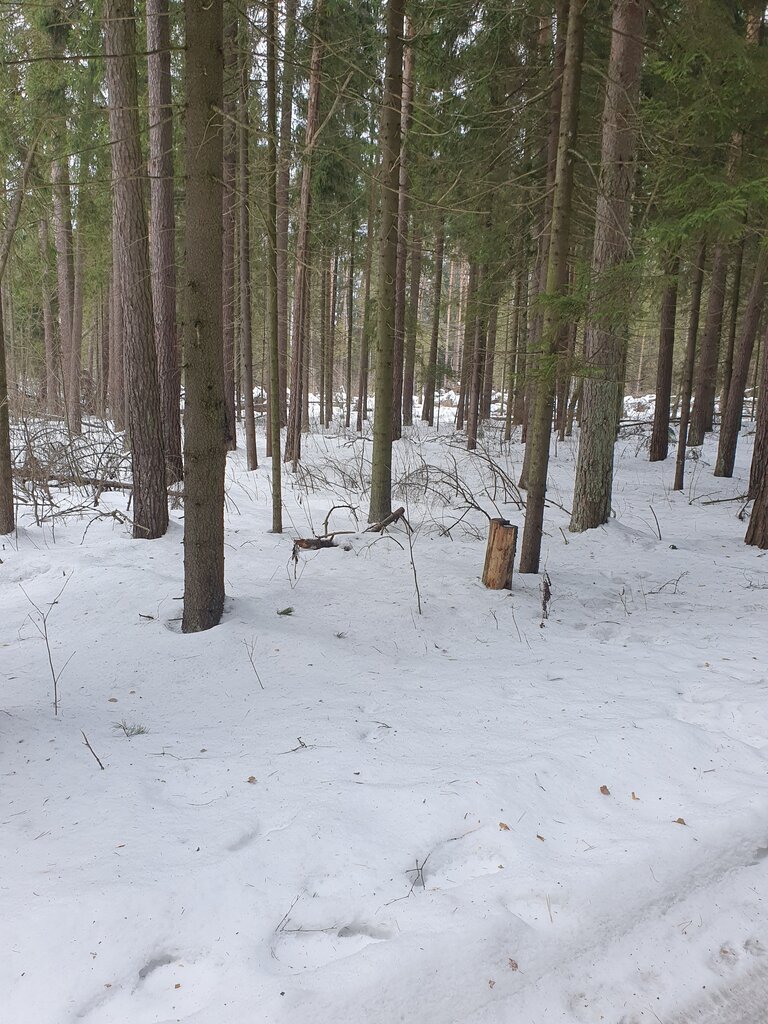 Ключ, ручей Ключ, ручей, Москва и Московская область, фото