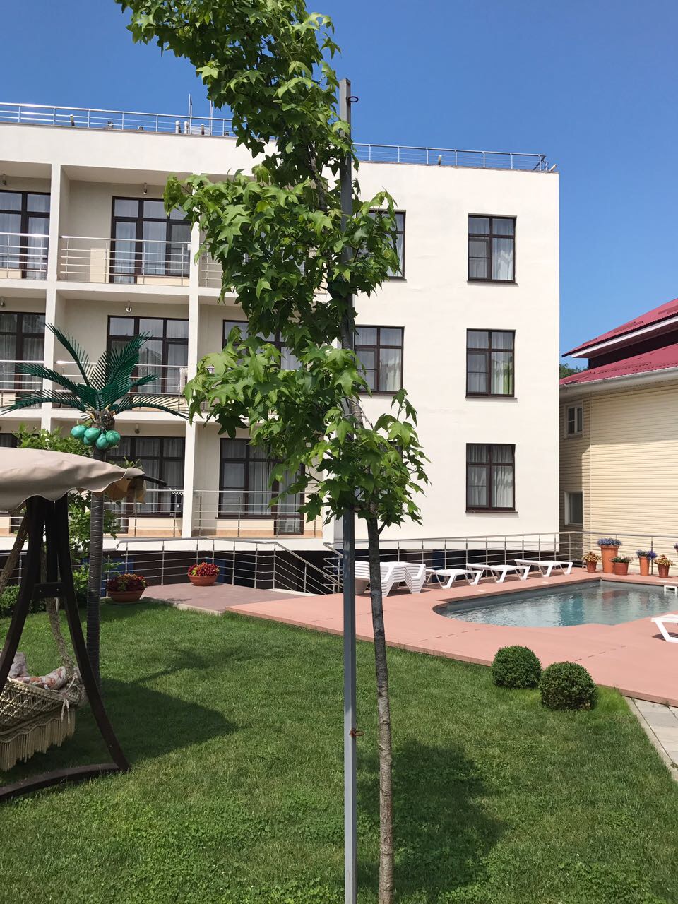 Фото отеля 1