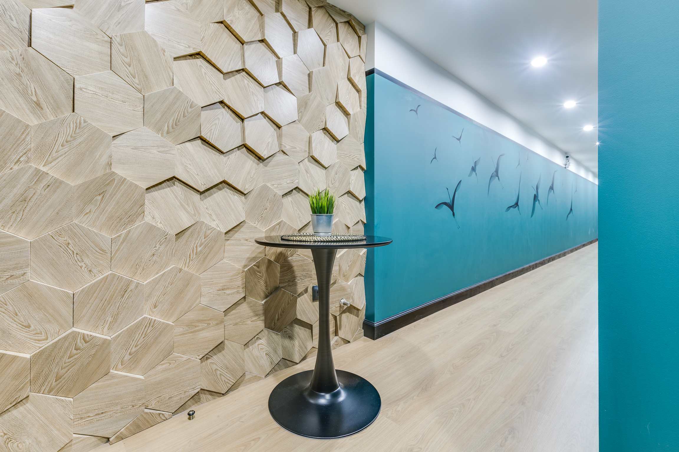 Фото Sokroma Джунгли