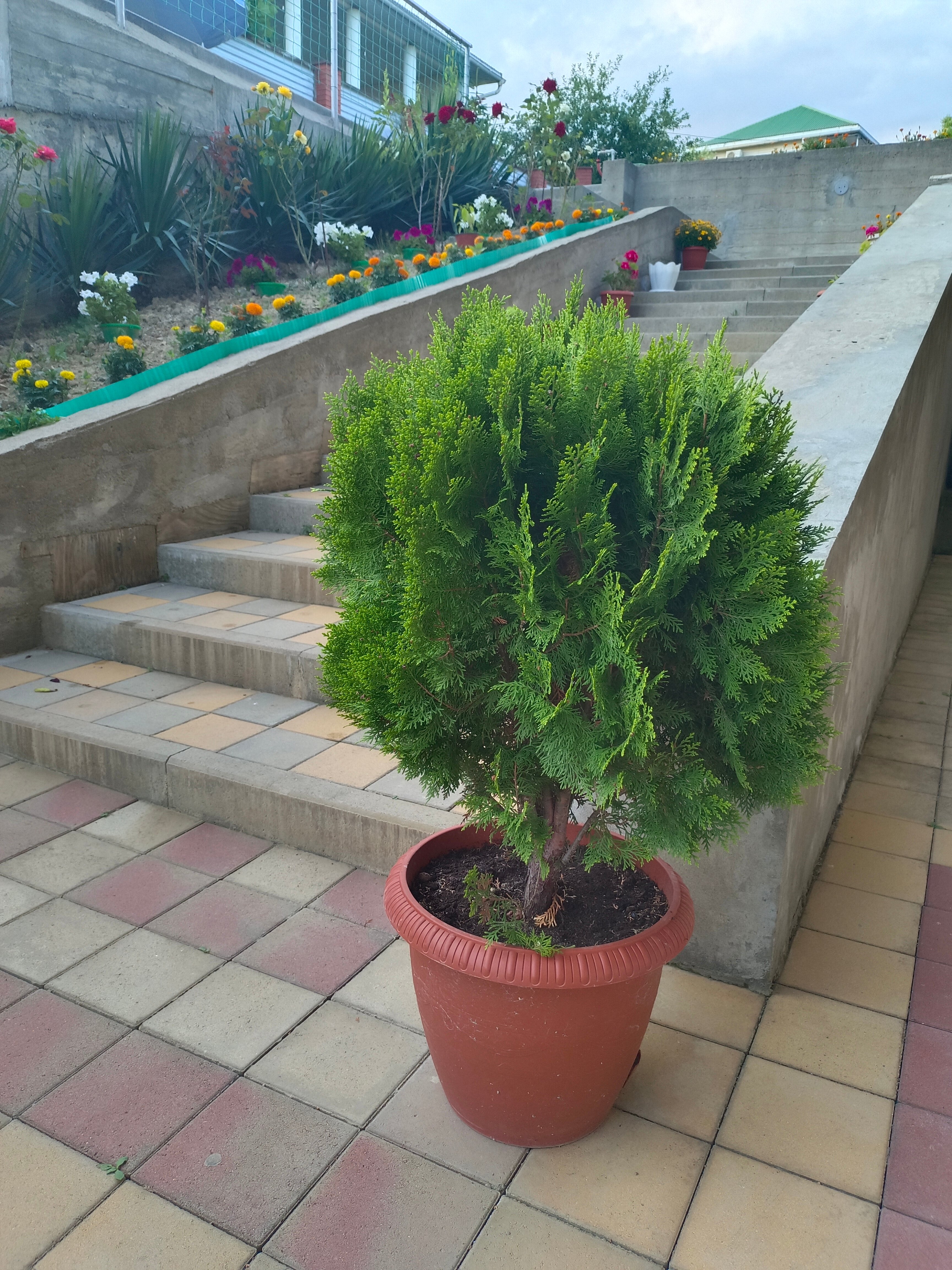 Фото Магнит