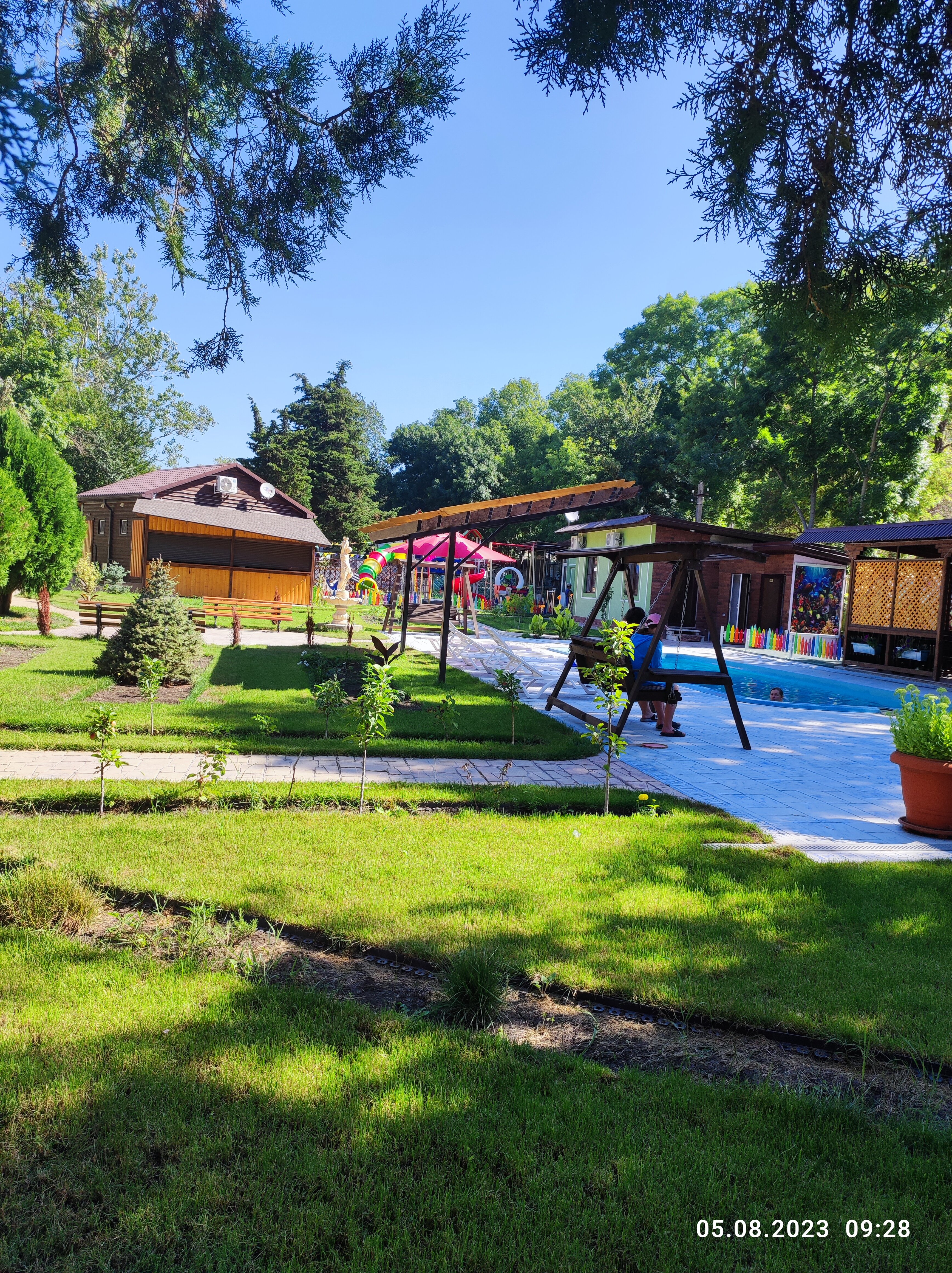 Фото Ромашка