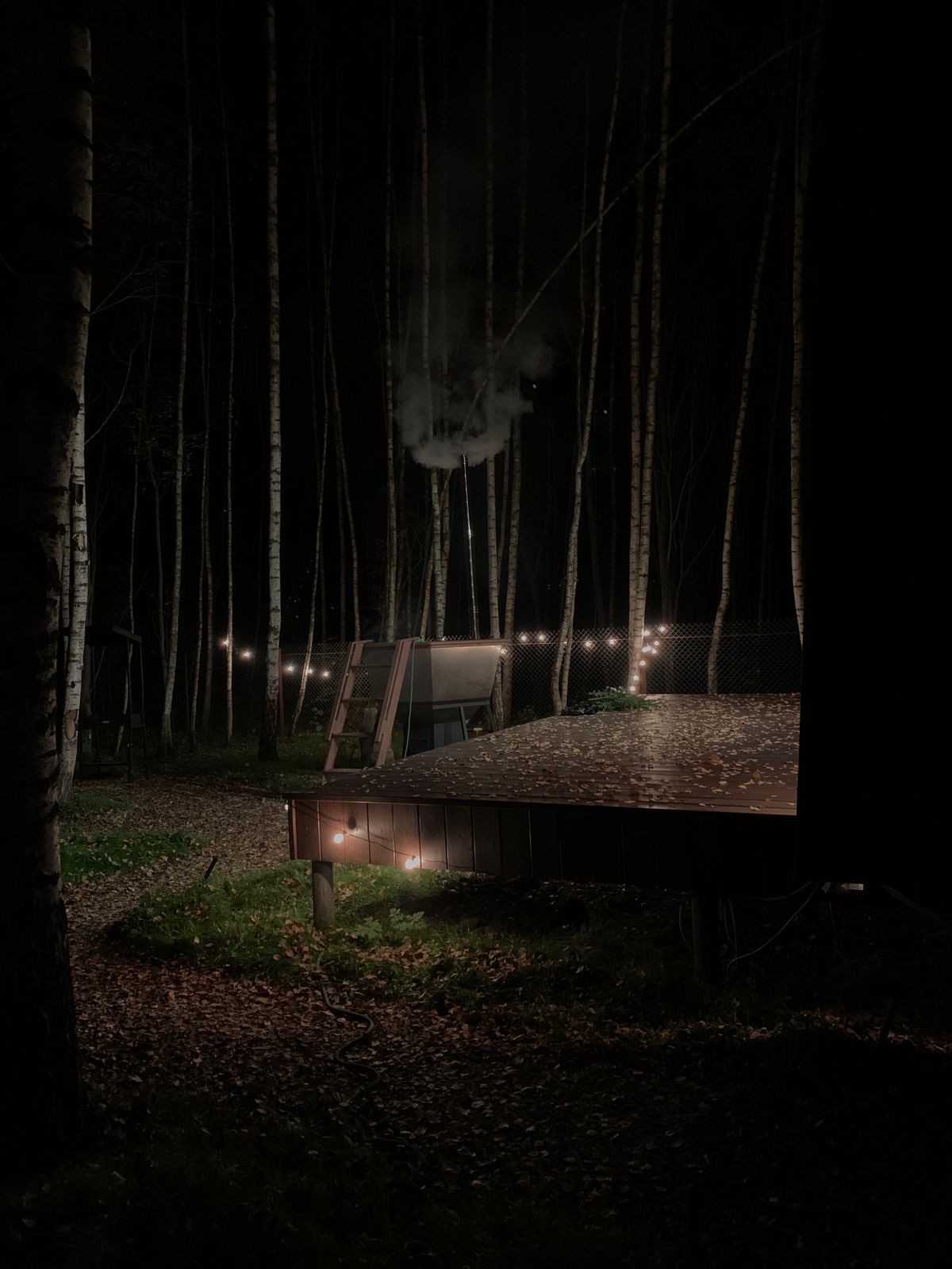 Фото Эко Дуб