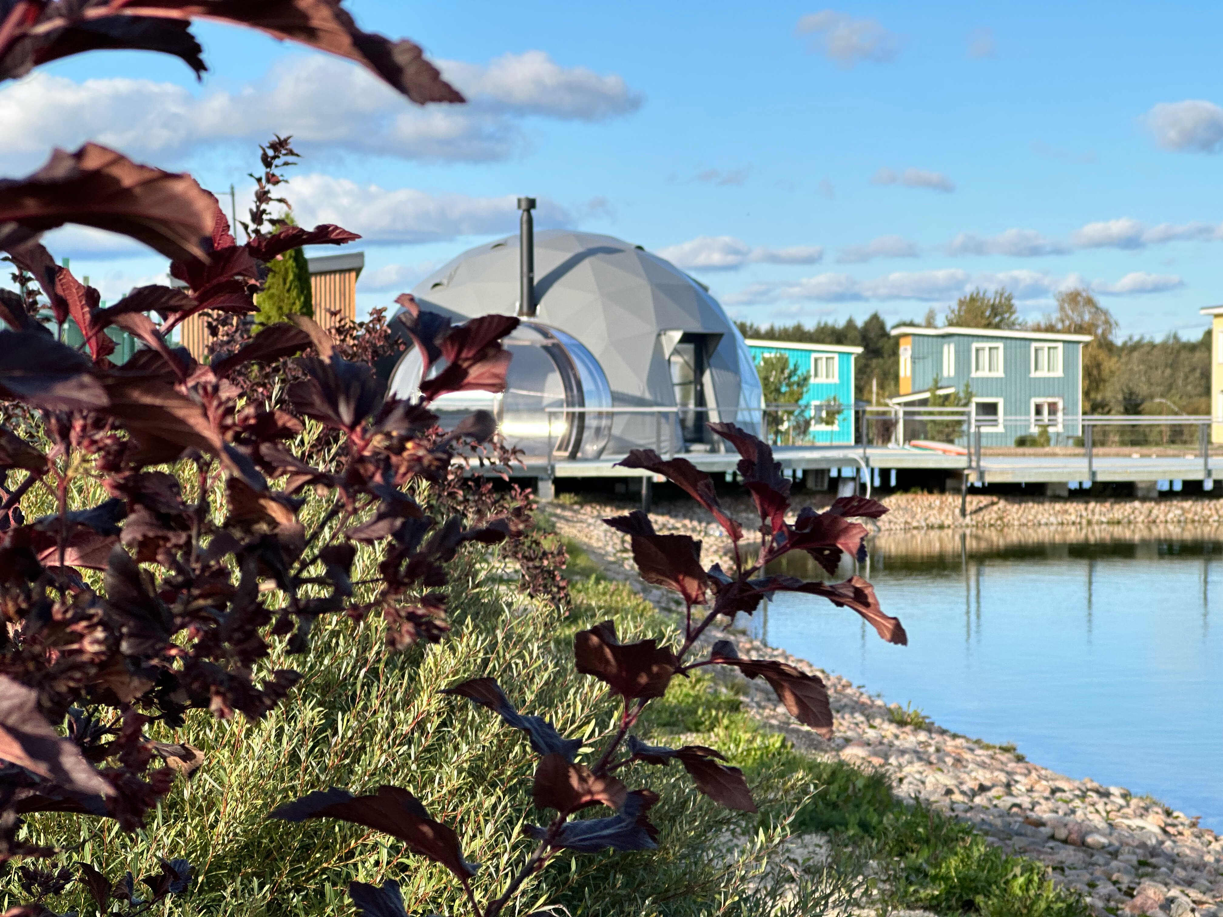 Фото Новые Озера