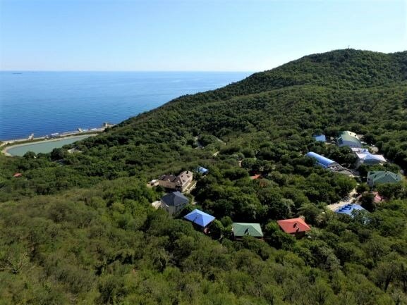 Фото Звёздный