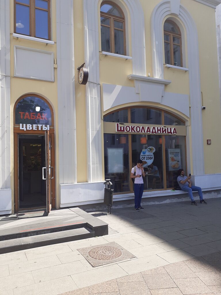 Шкода шоколадница реутов