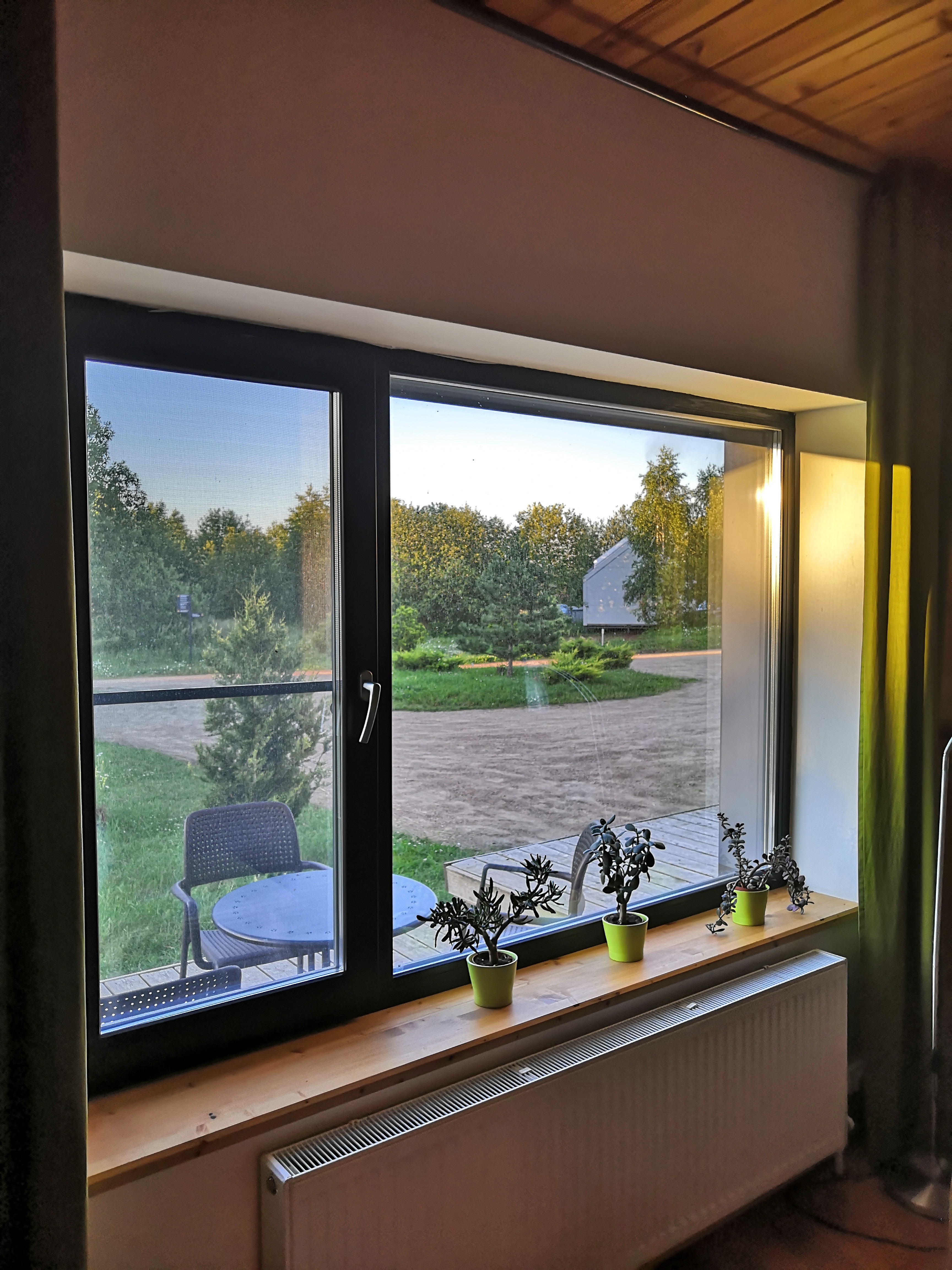 Фото Ясно Поле